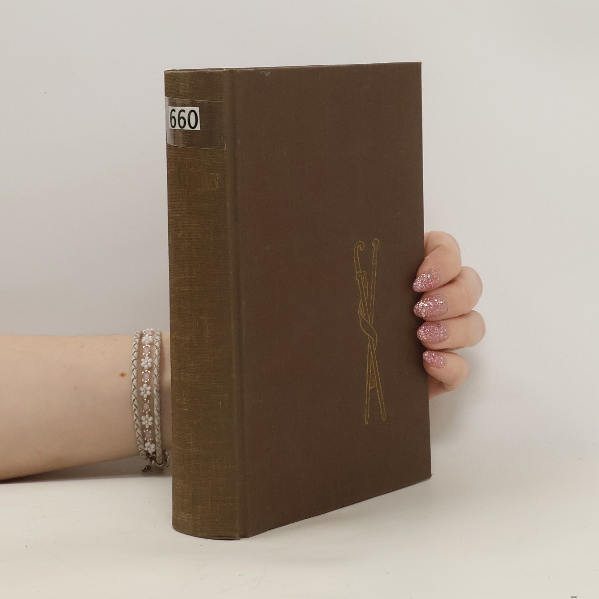 Pirminius der Wanderer Gottes