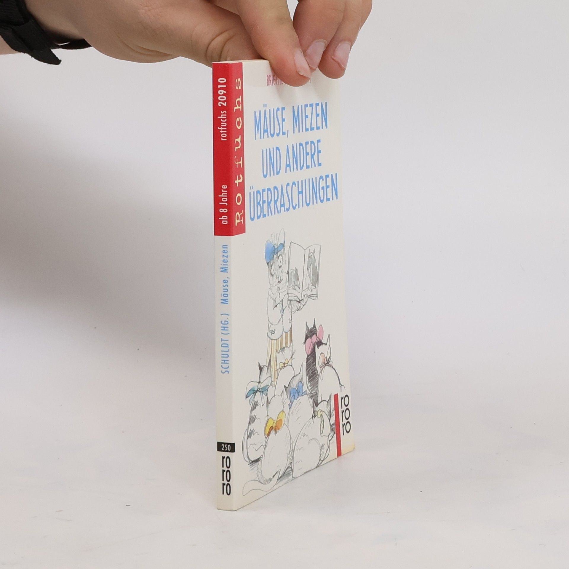 Auteurscollectief Mäuse, Miezen und andere Überraschungen