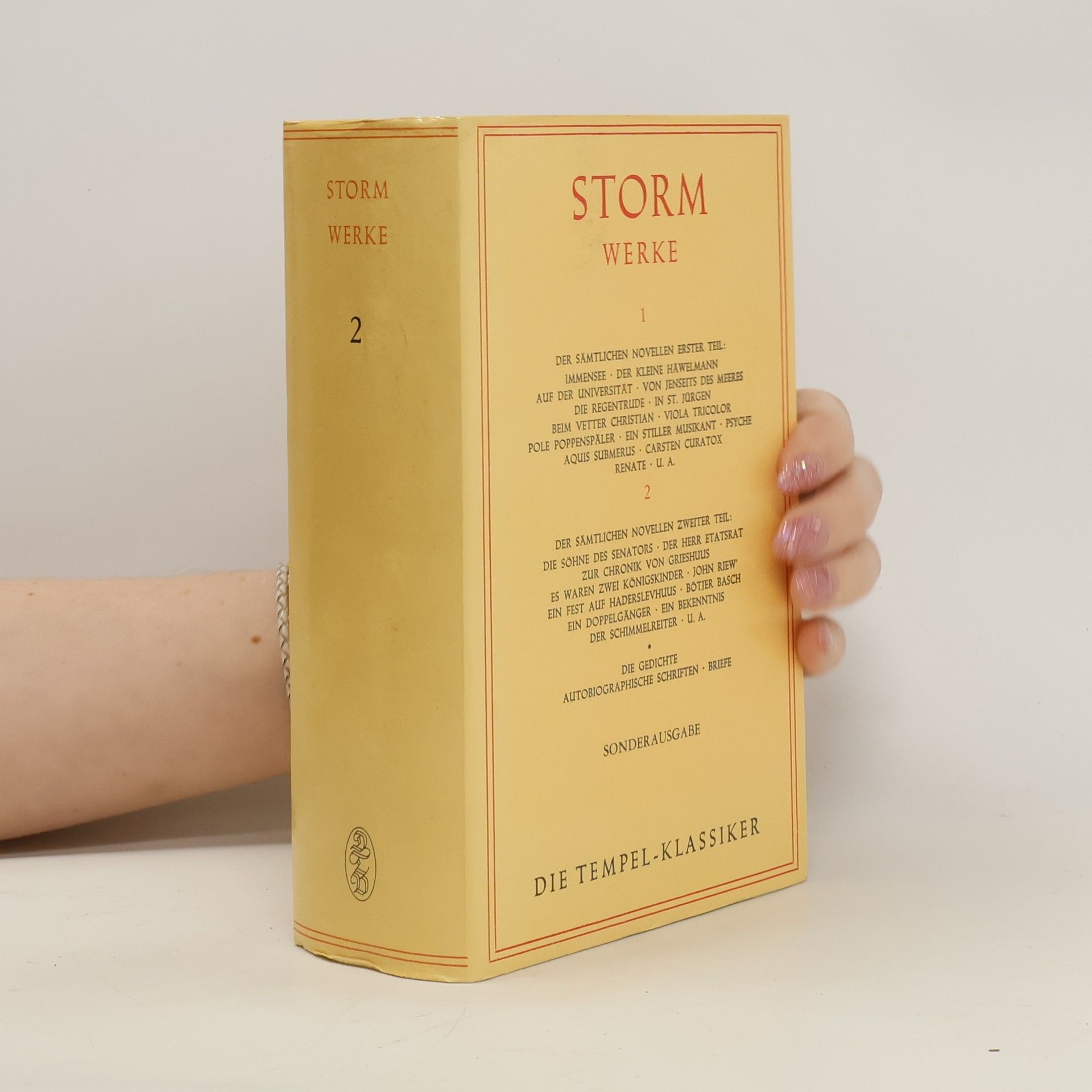Autorenkollektiv Storm Werke 2