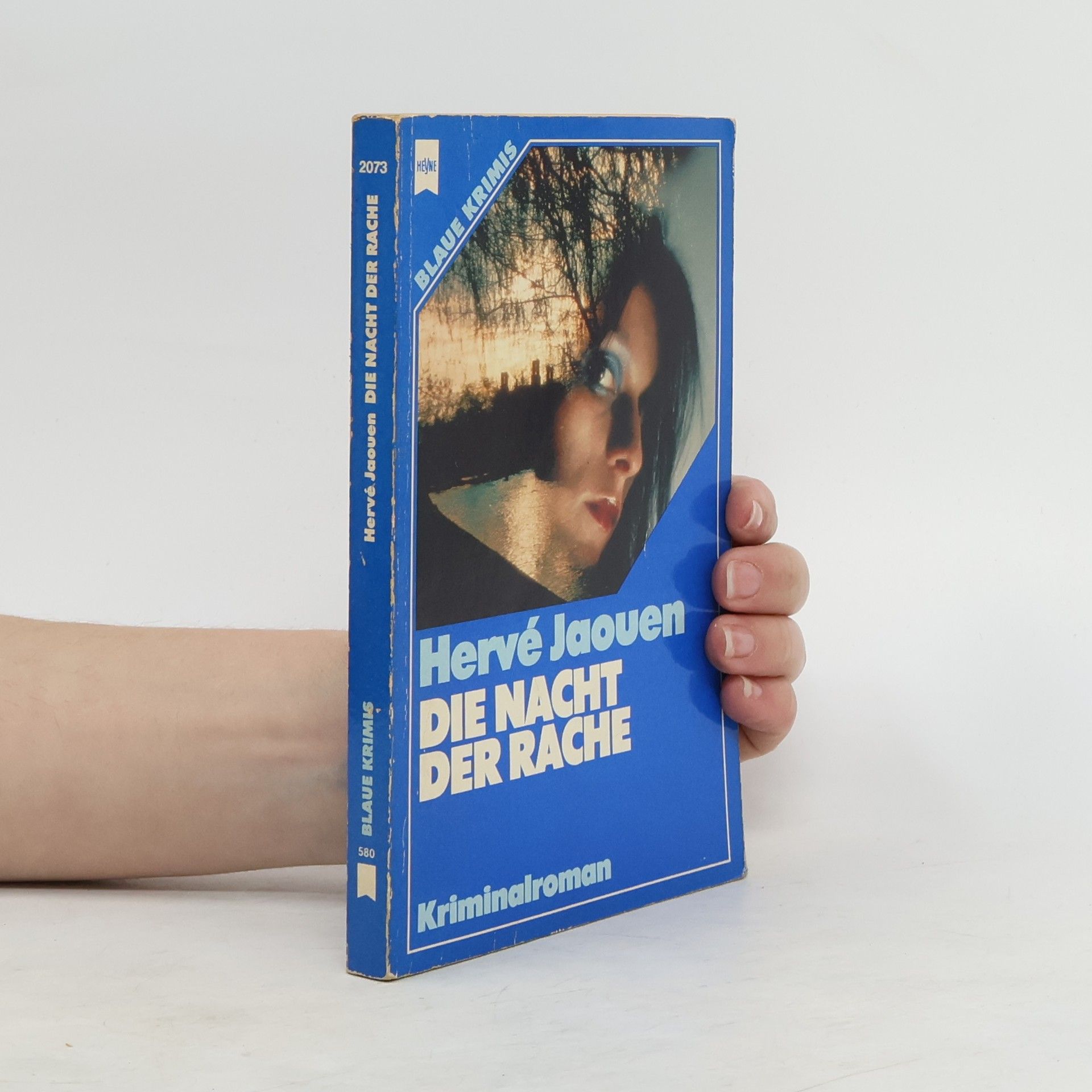 Herve Jaouen Die Nacht der Rache