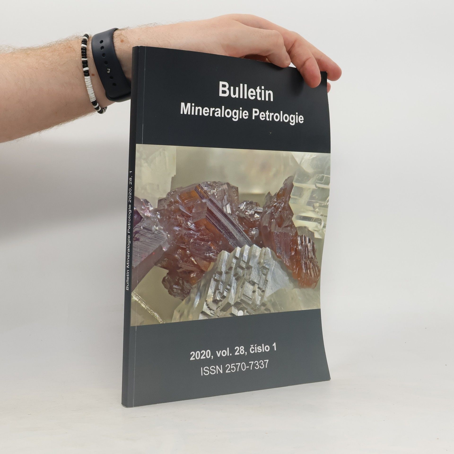 Kolektiv autorů Mineralogie Petrologie 28. Bulletin