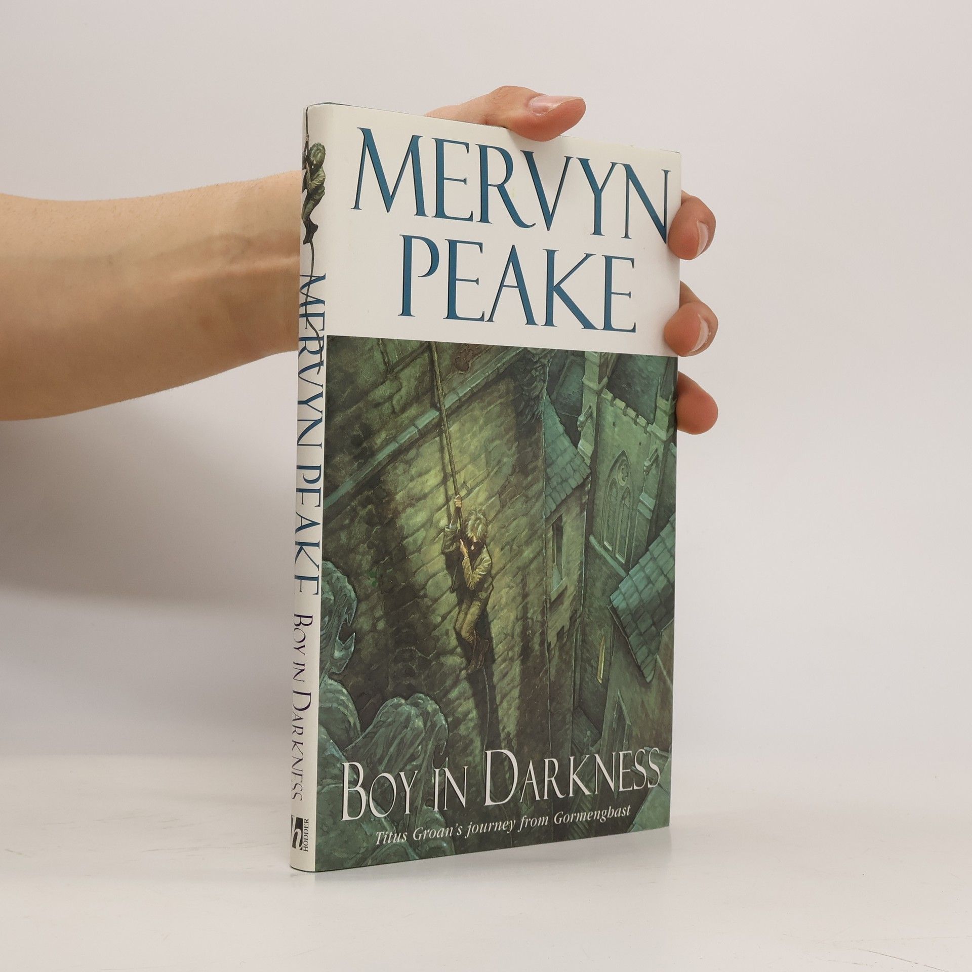 Mervyn Peake Boy in Darkness