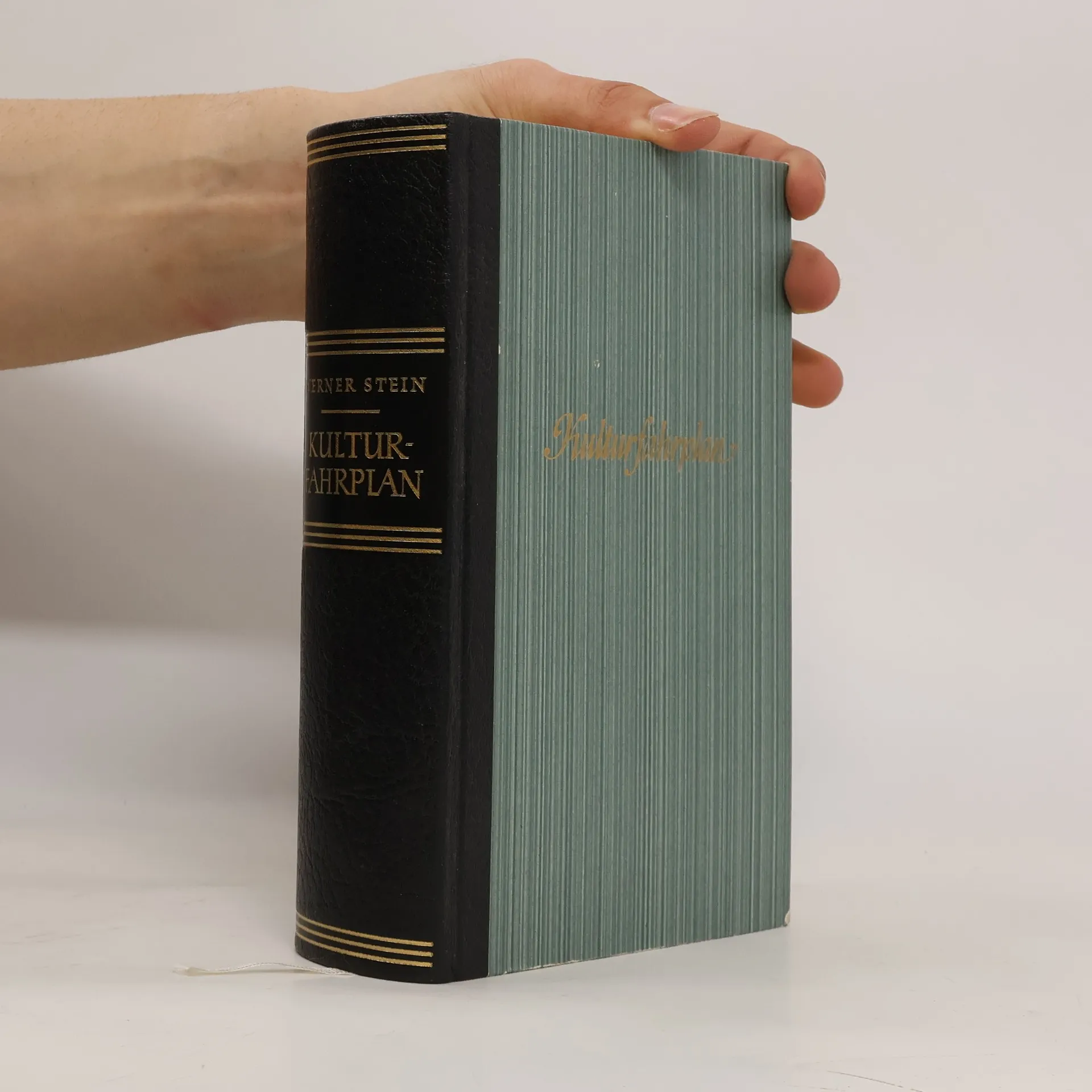 Kulturfahrplan | Buch | Hardcover | Werner Stein