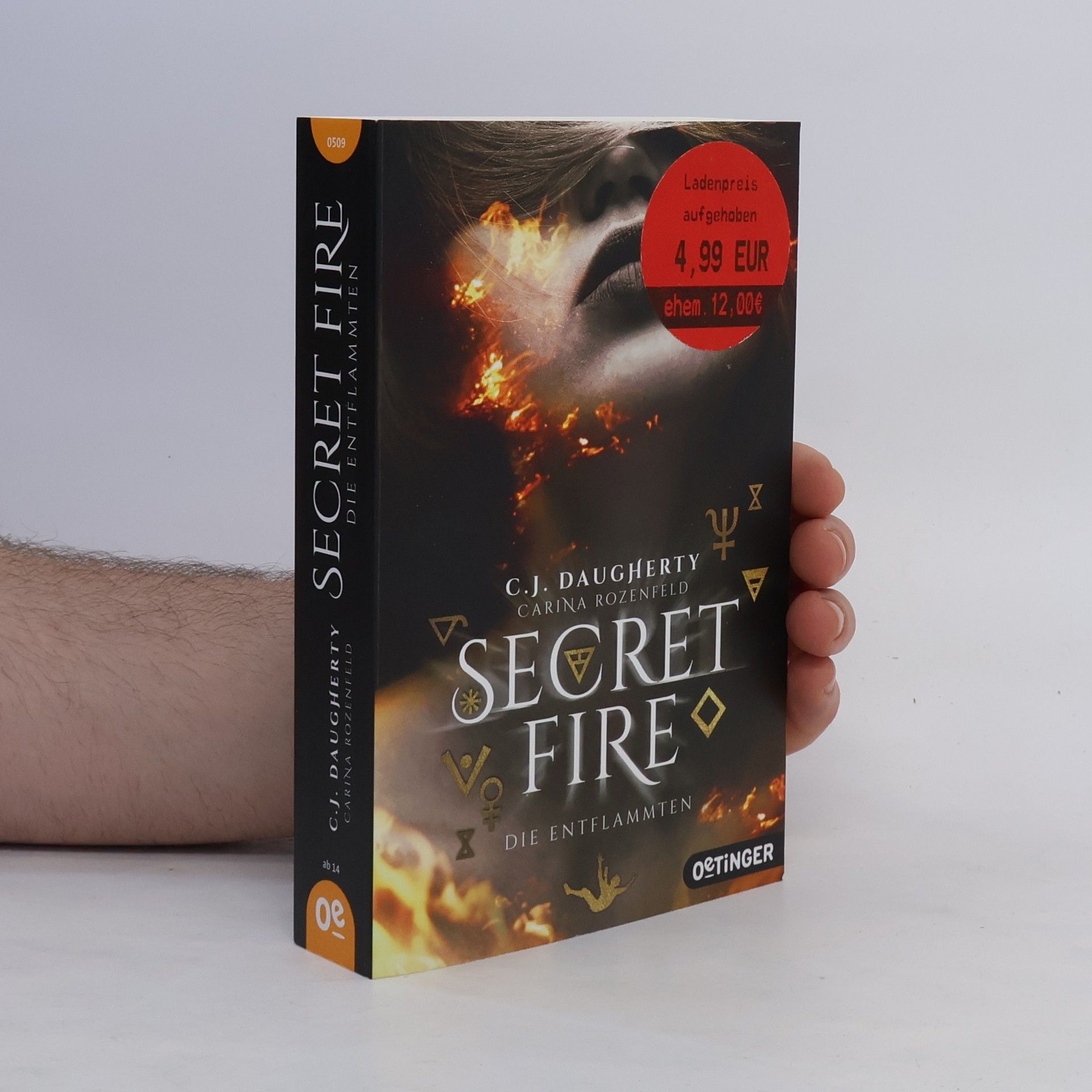 Christi Daugherty Secret fire - die Entflammten