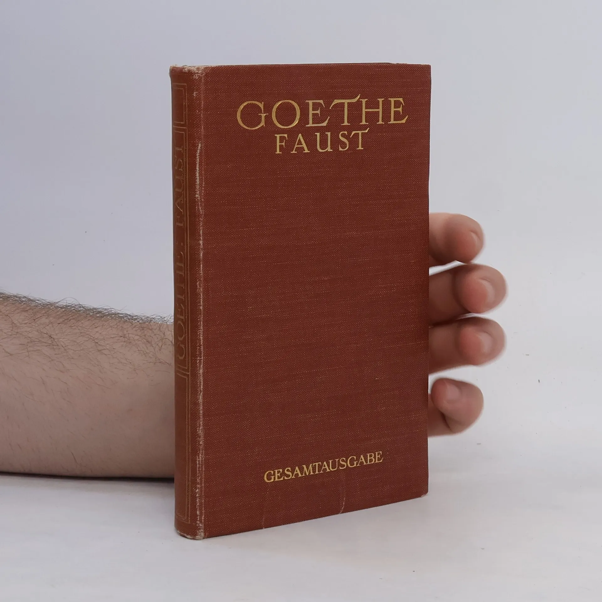 Goethes Faust | Kniha | pevná | Johann Wolfgang von Goethe | DE