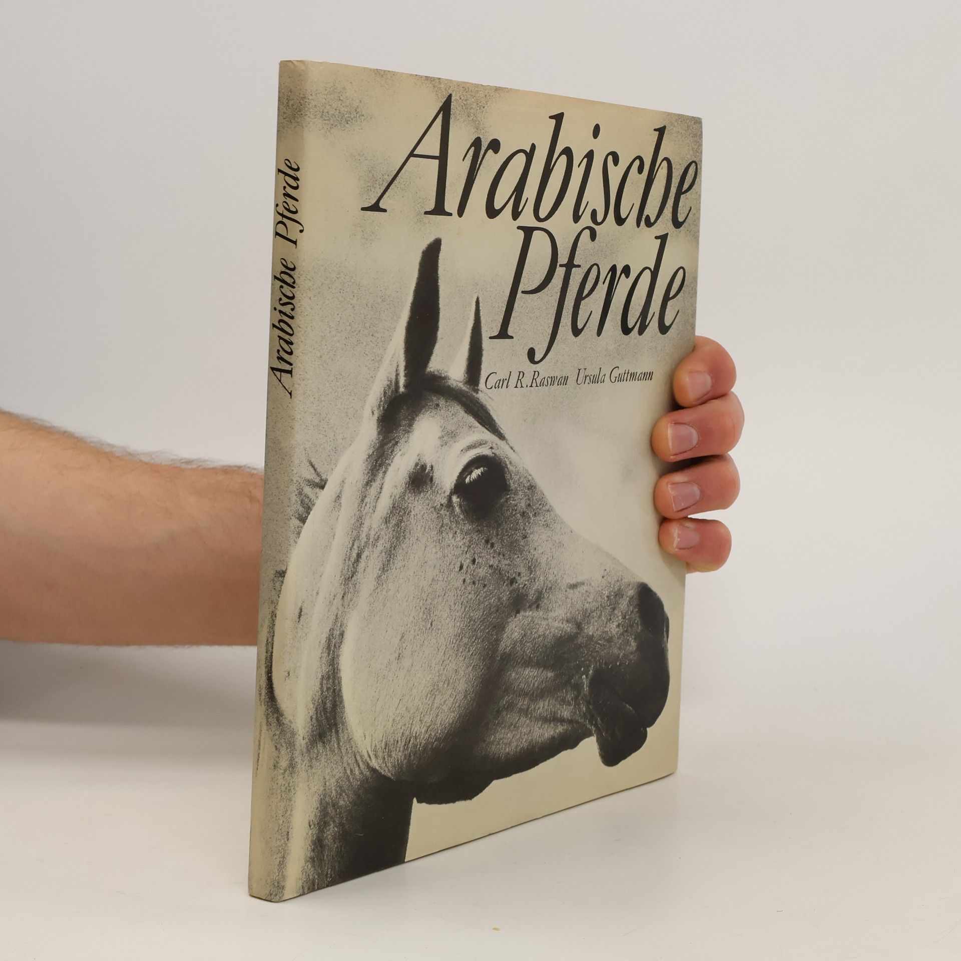 Carl Reinhard Raswan Arabische Pferde