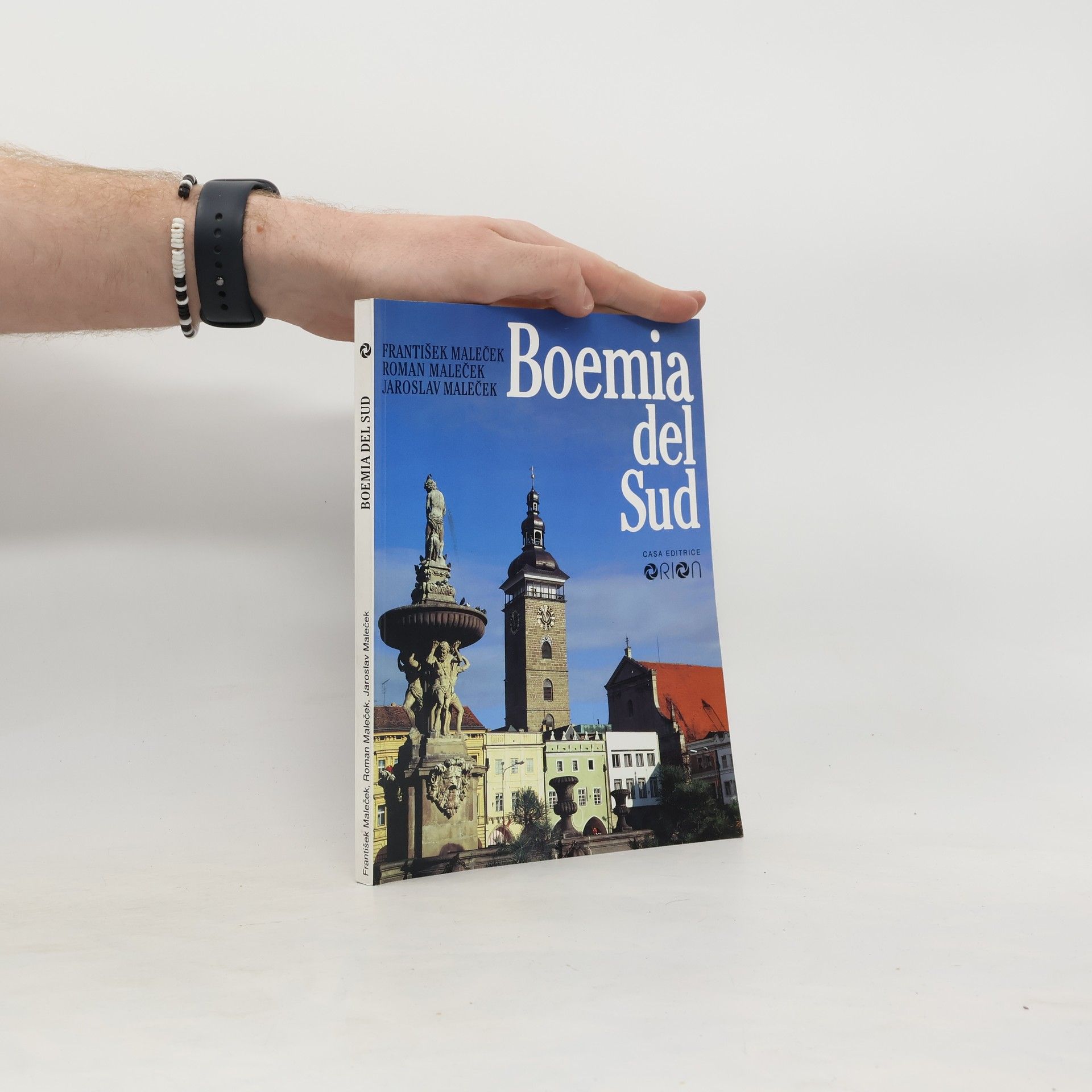 AA.VV. Boemia del Sud