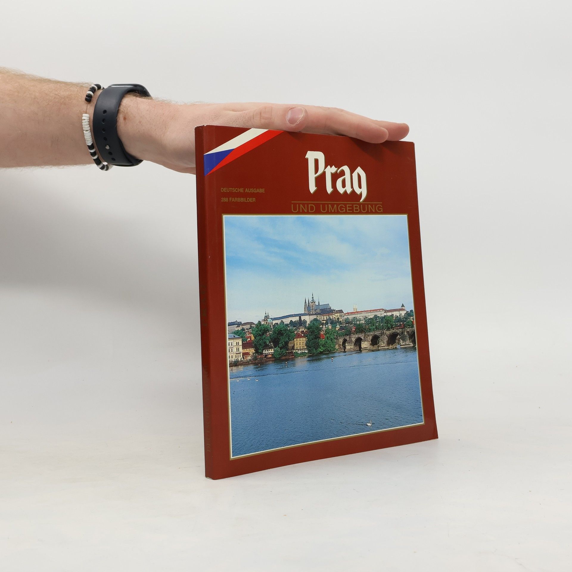 Autorenkollektiv Prag und Umgebung