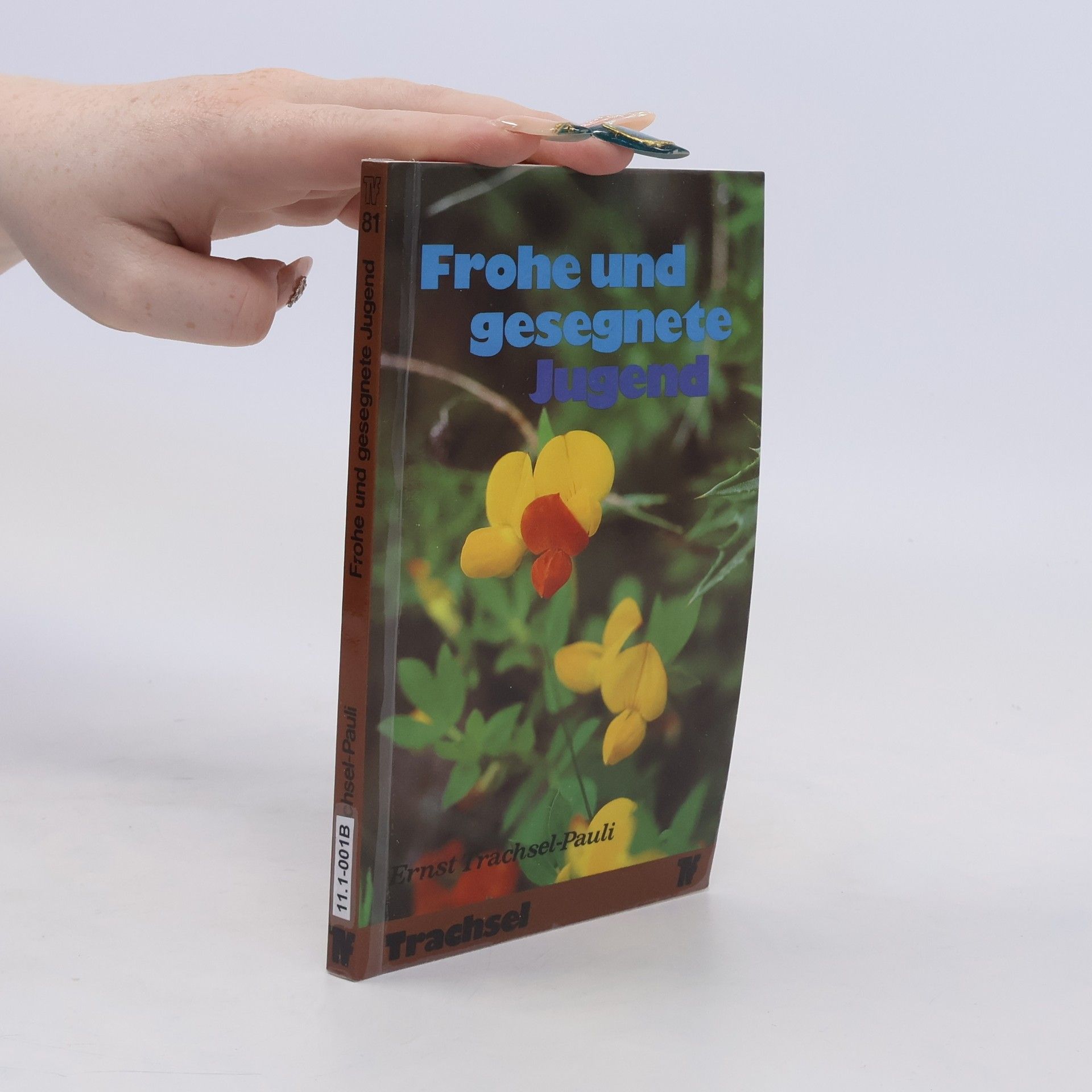 Ernst Pauli Trachsel Frohe und gesegnete Jugend