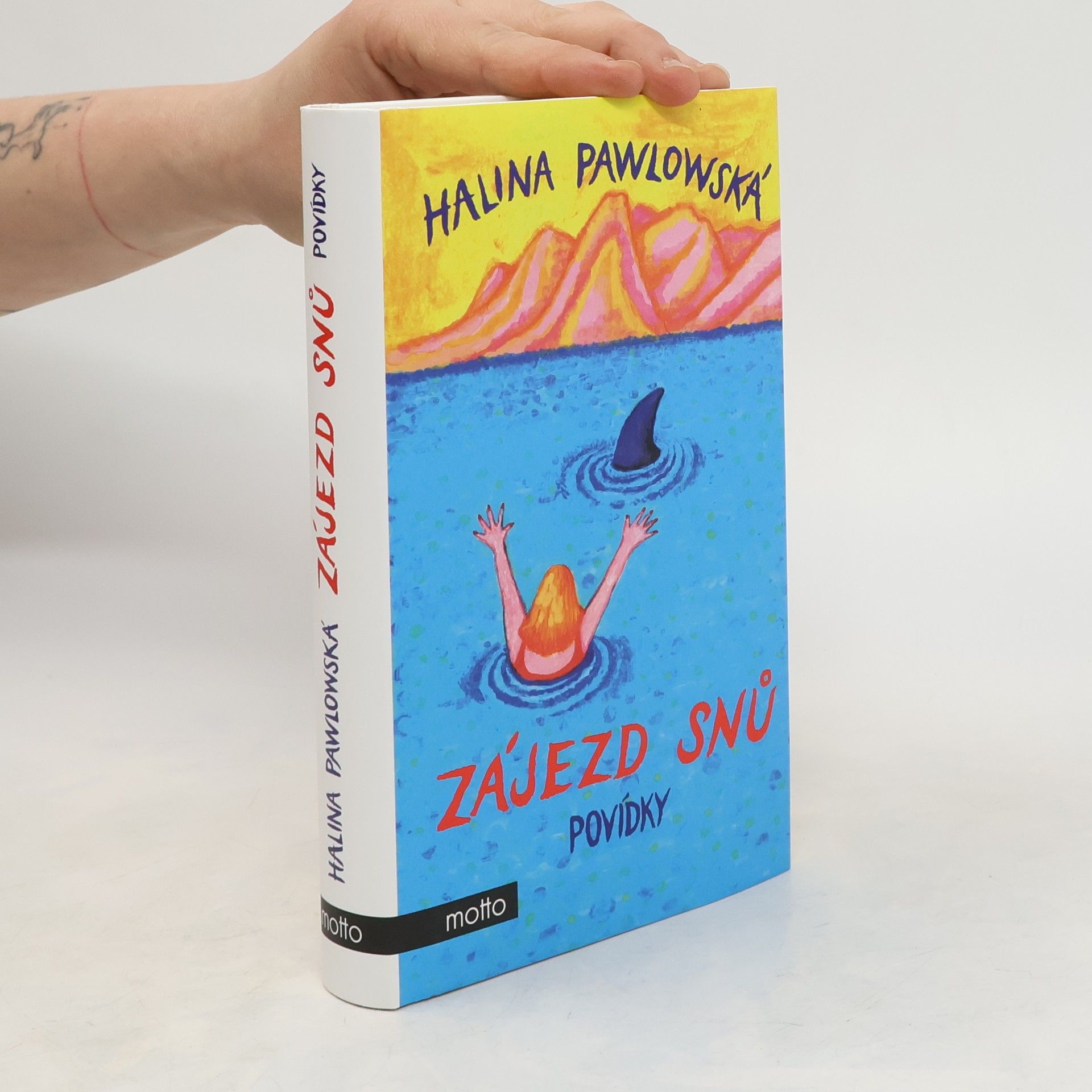 Halina Pawlowská Zájezd snů : povídky