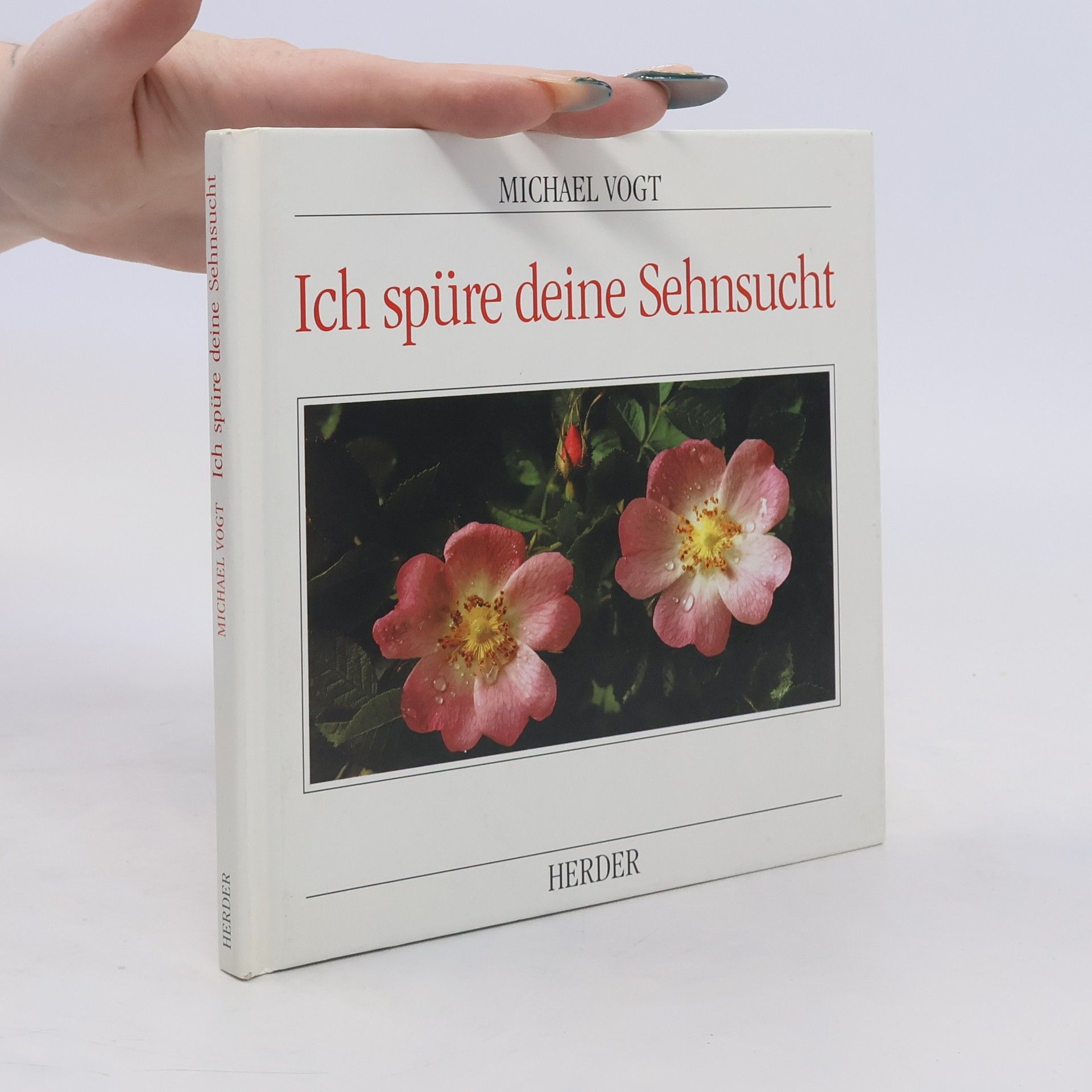 Michael Vogt Ich spüre deine Sehnsucht