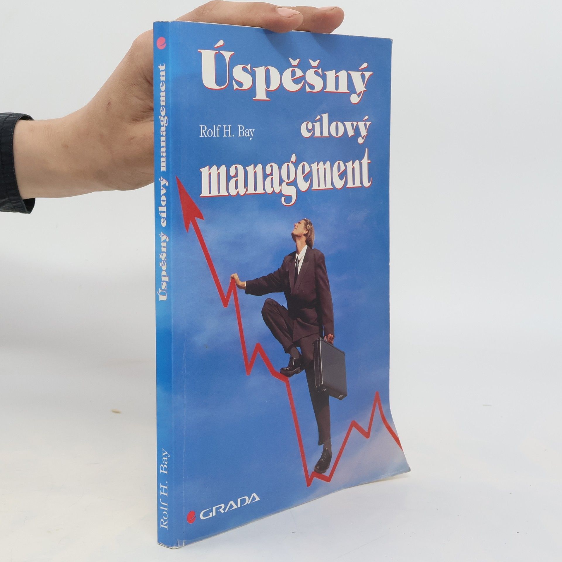 Rolf H. Bay Úspěšný cílový management. Základy cílového managementu pro vedoucí pracovníky