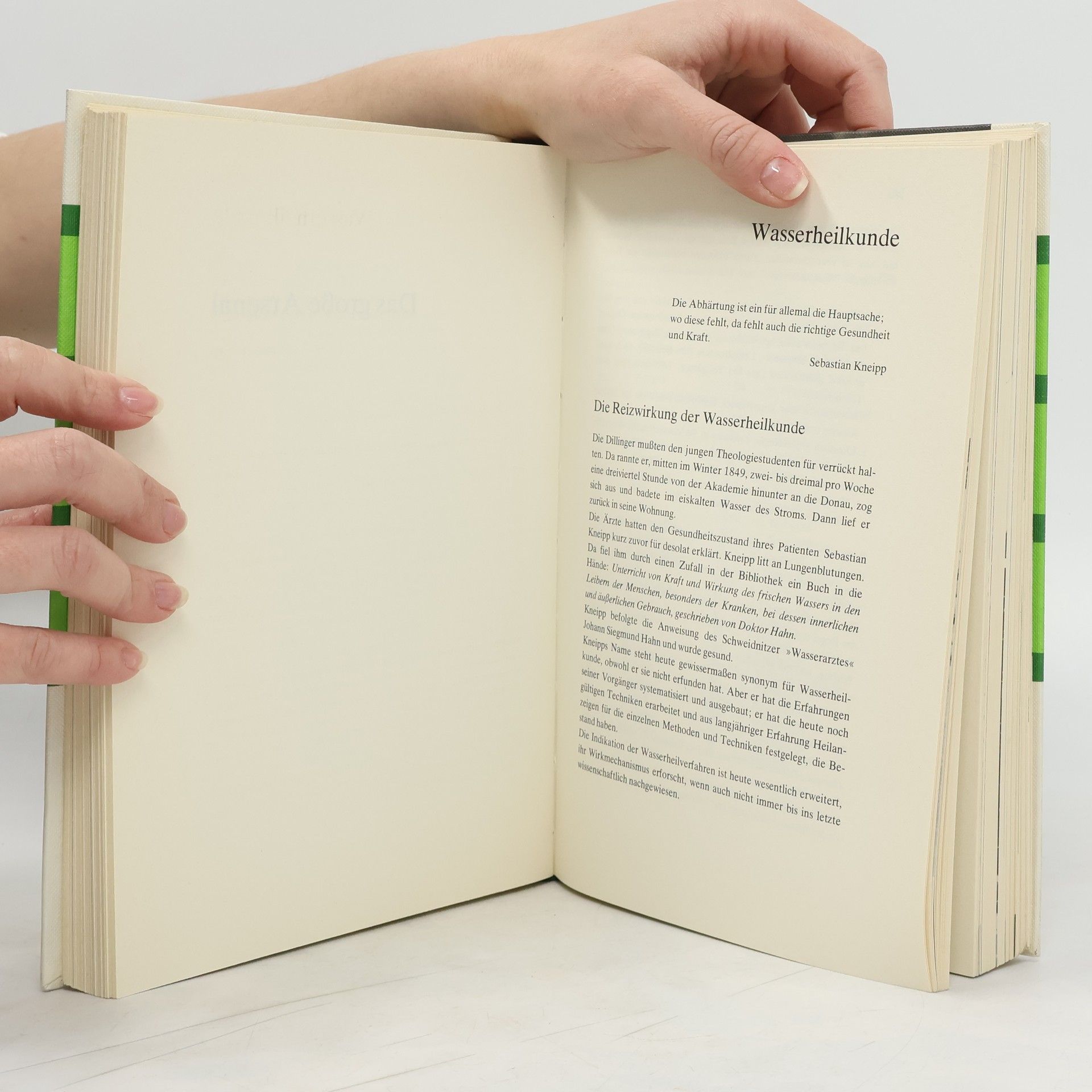 Manfred Köhnlechner Handbuch der Naturheilkunde