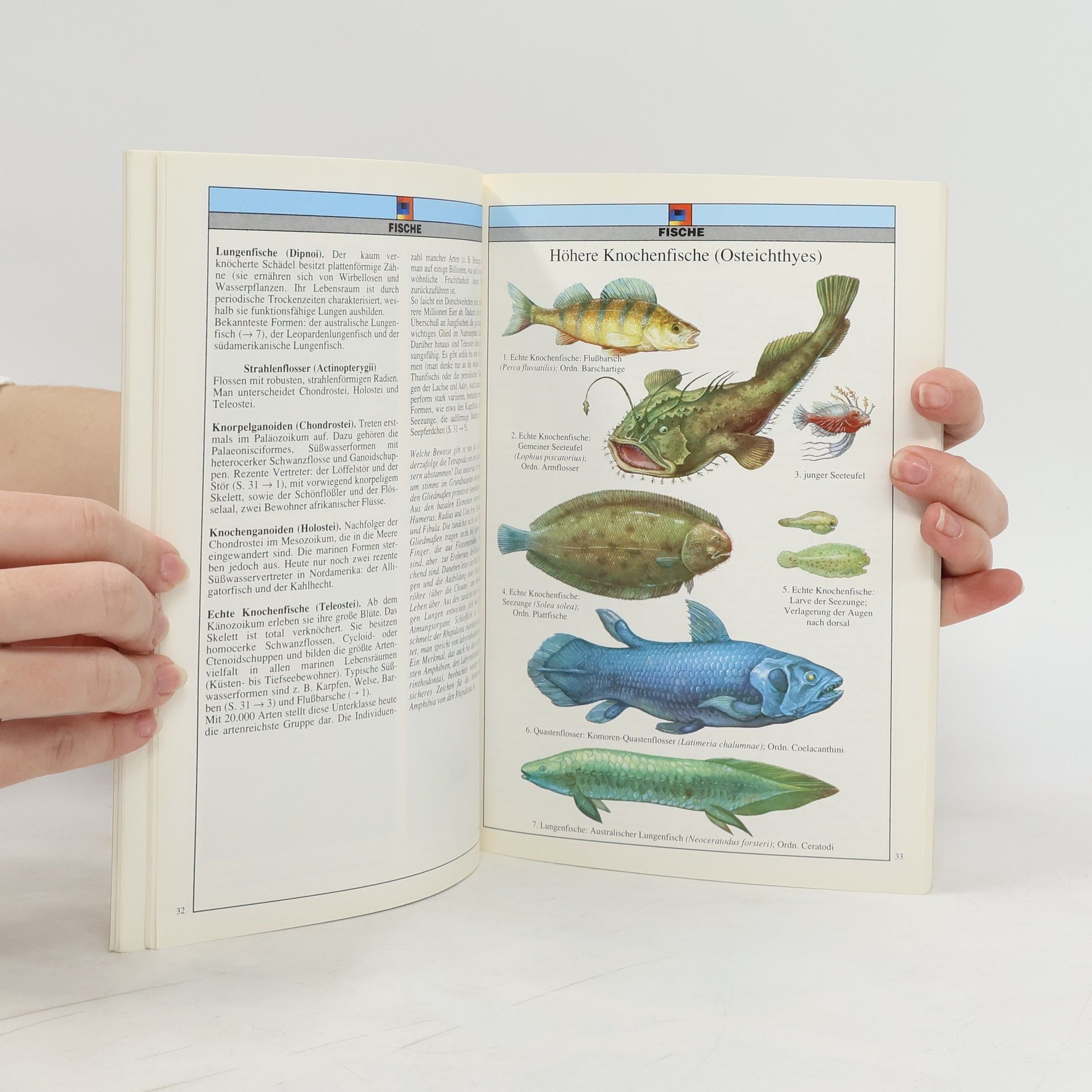 Gastone Bani Zoologie