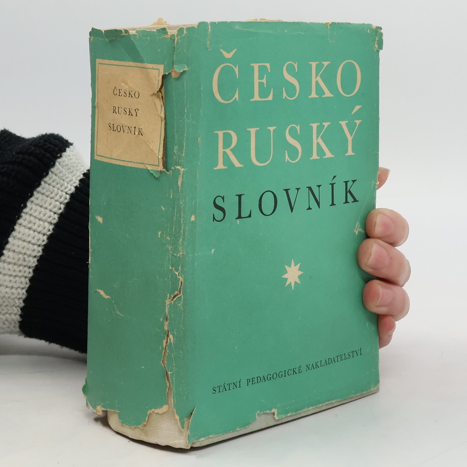 Collectif d'auteurs Školní česko-ruský slovník