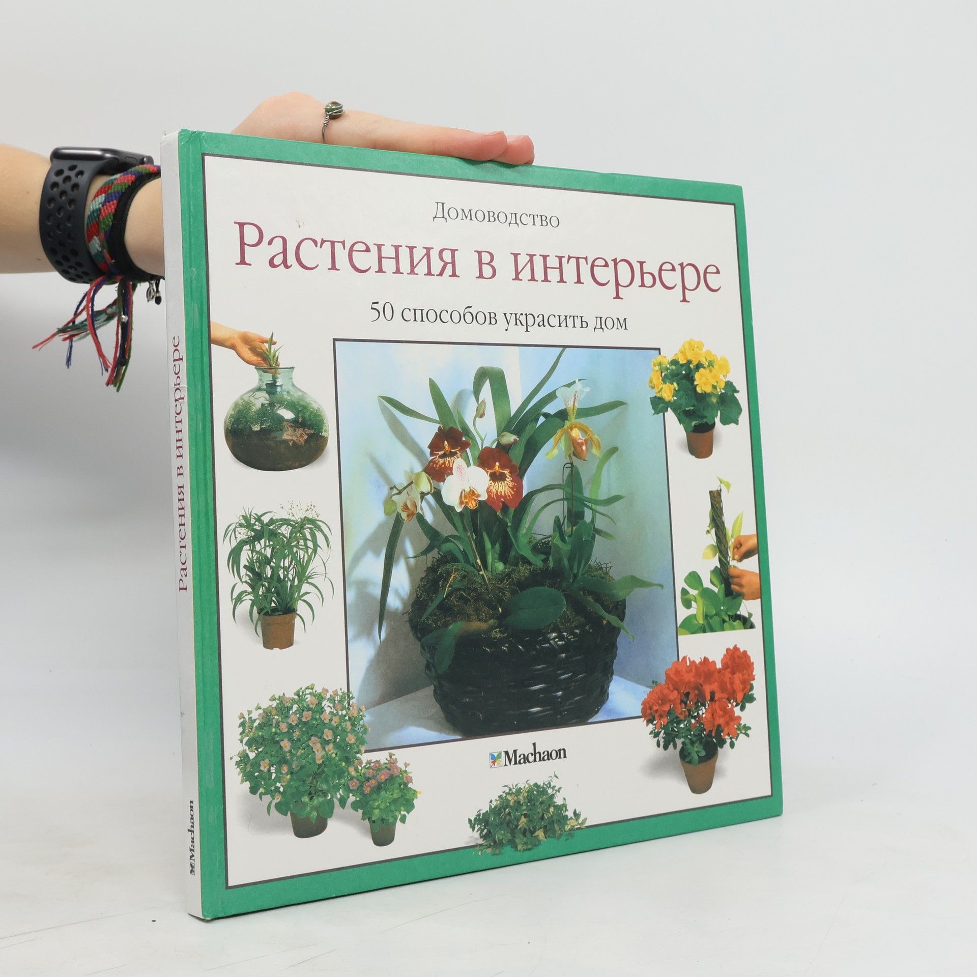 kolektiv Растения в интерьере