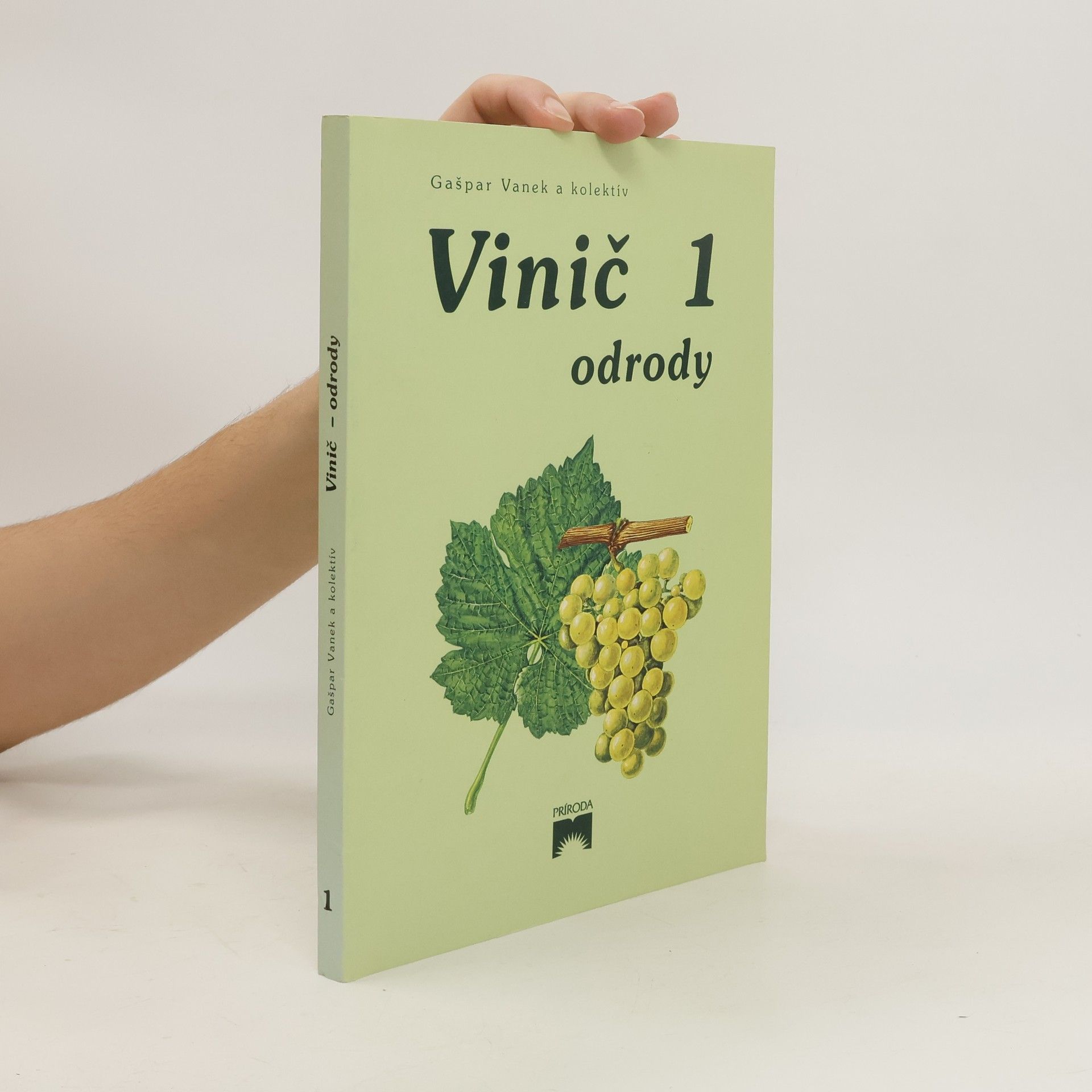 Gašpar Vanek Vinič 1. Odrody