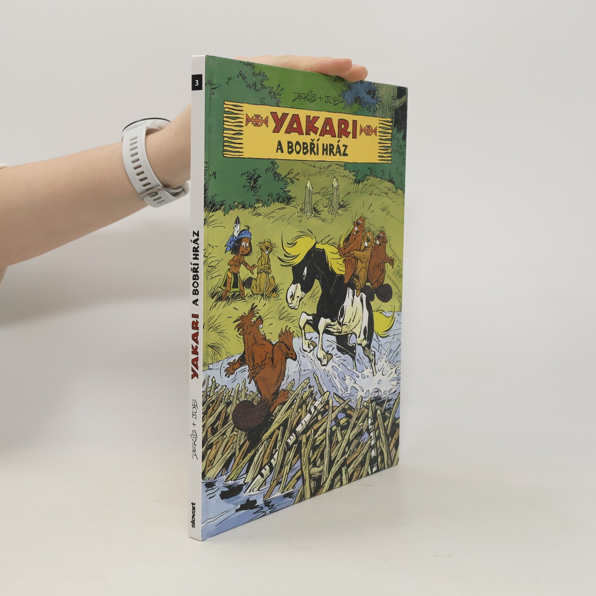 Job Yakari a bobří hráz