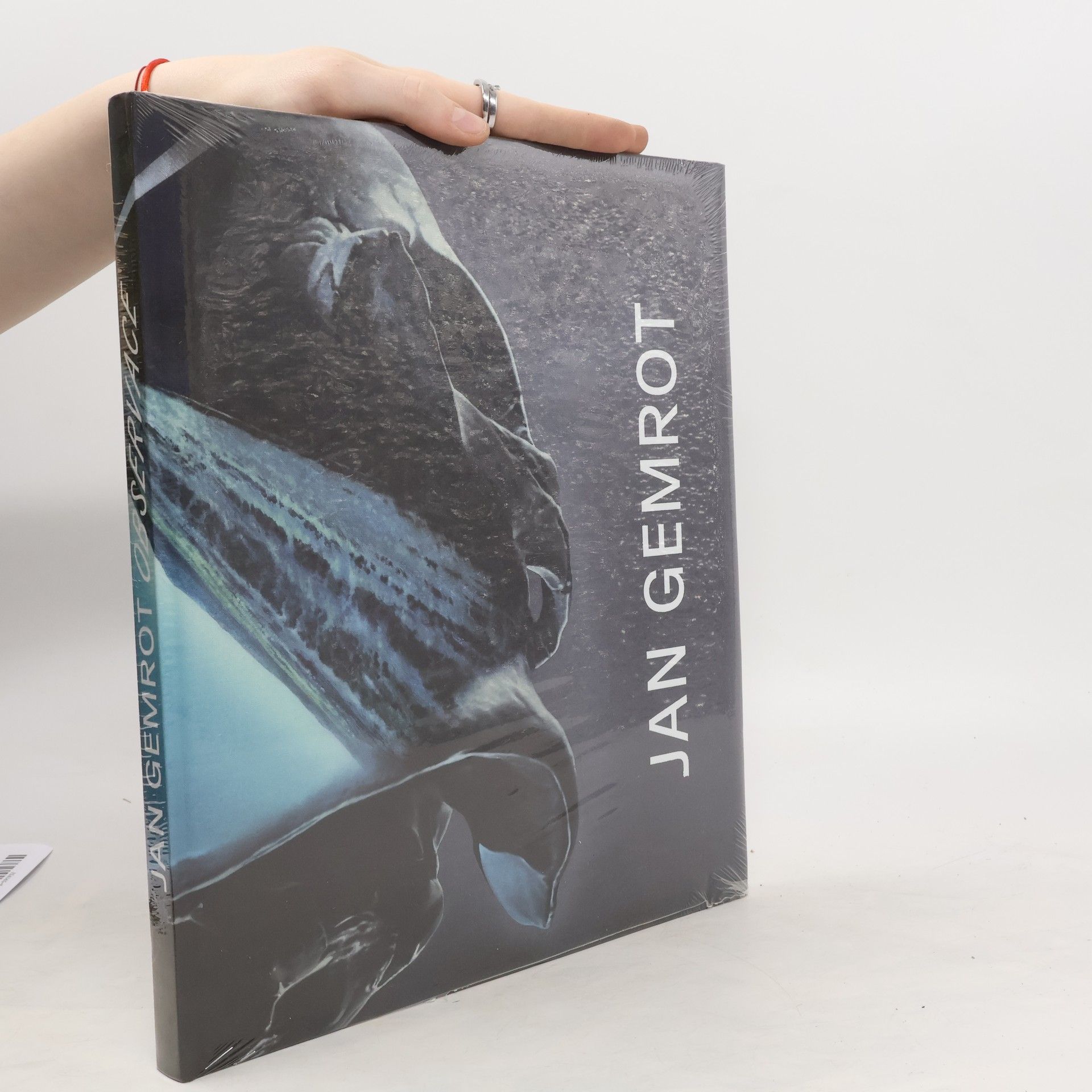 Collective Jan Gemrot : observace = observations