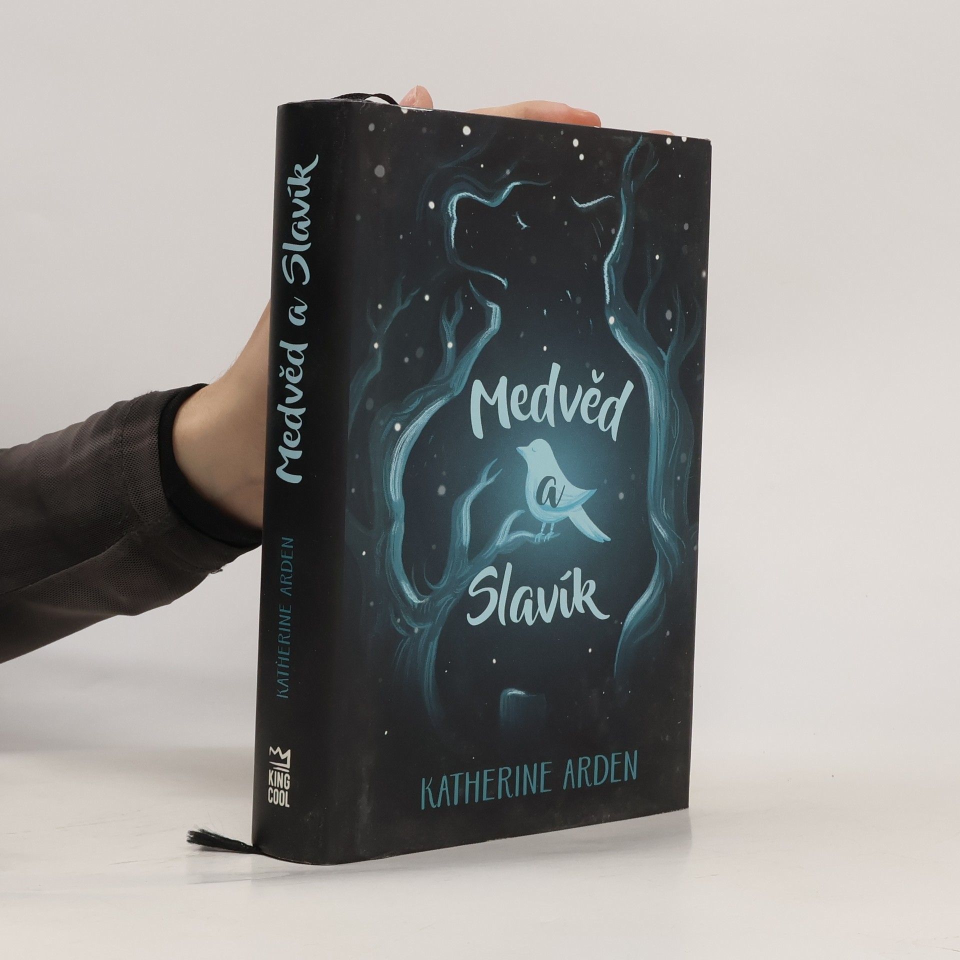 Katherine Arden Medvěd a Slavík