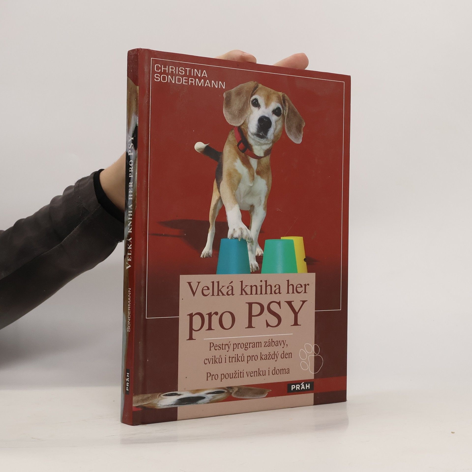 Christina Sondermann Velká kniha her pro psy: Pestrý program zábavy, cviků i triků pro každý den