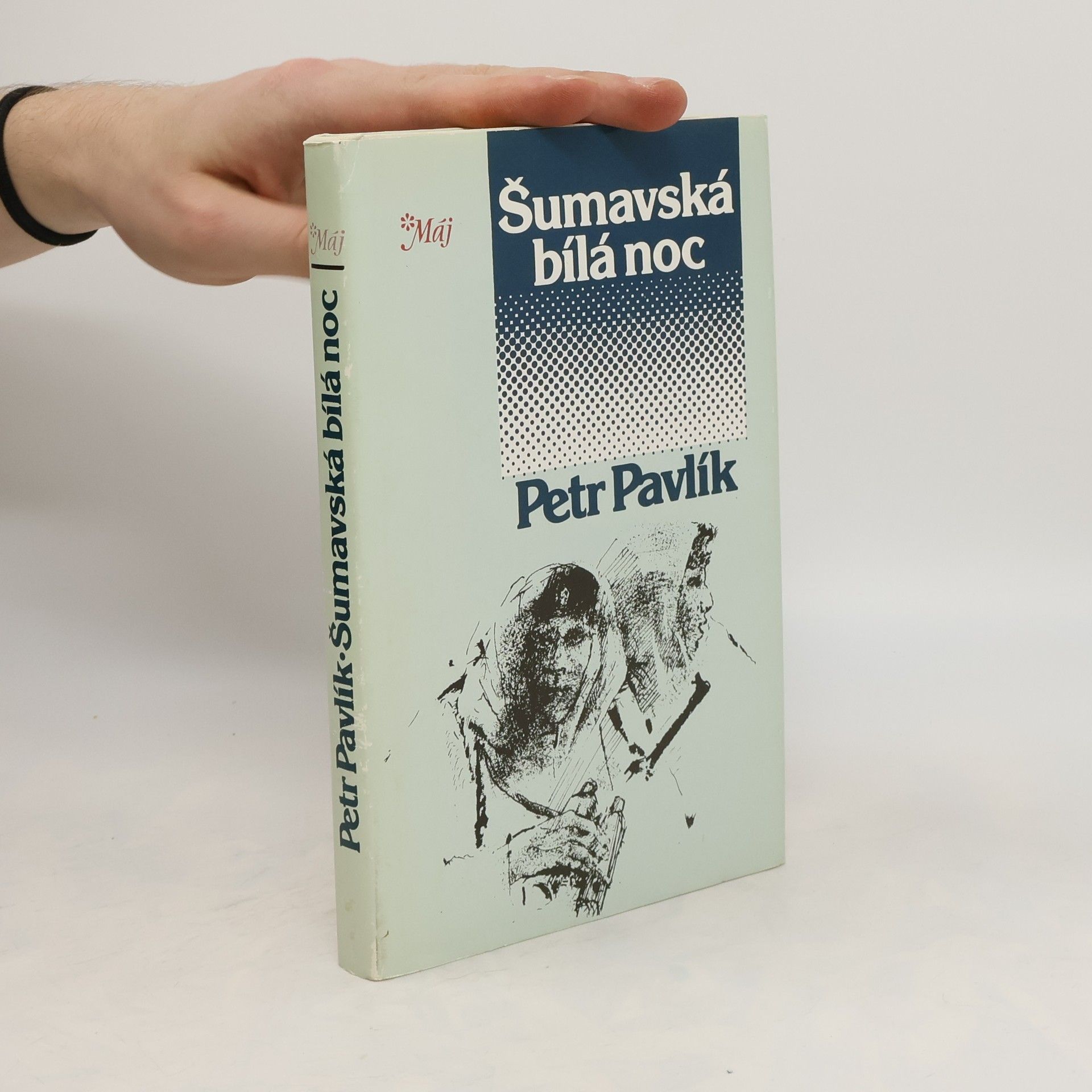 Petr Pavlík Šumavská bílá noc