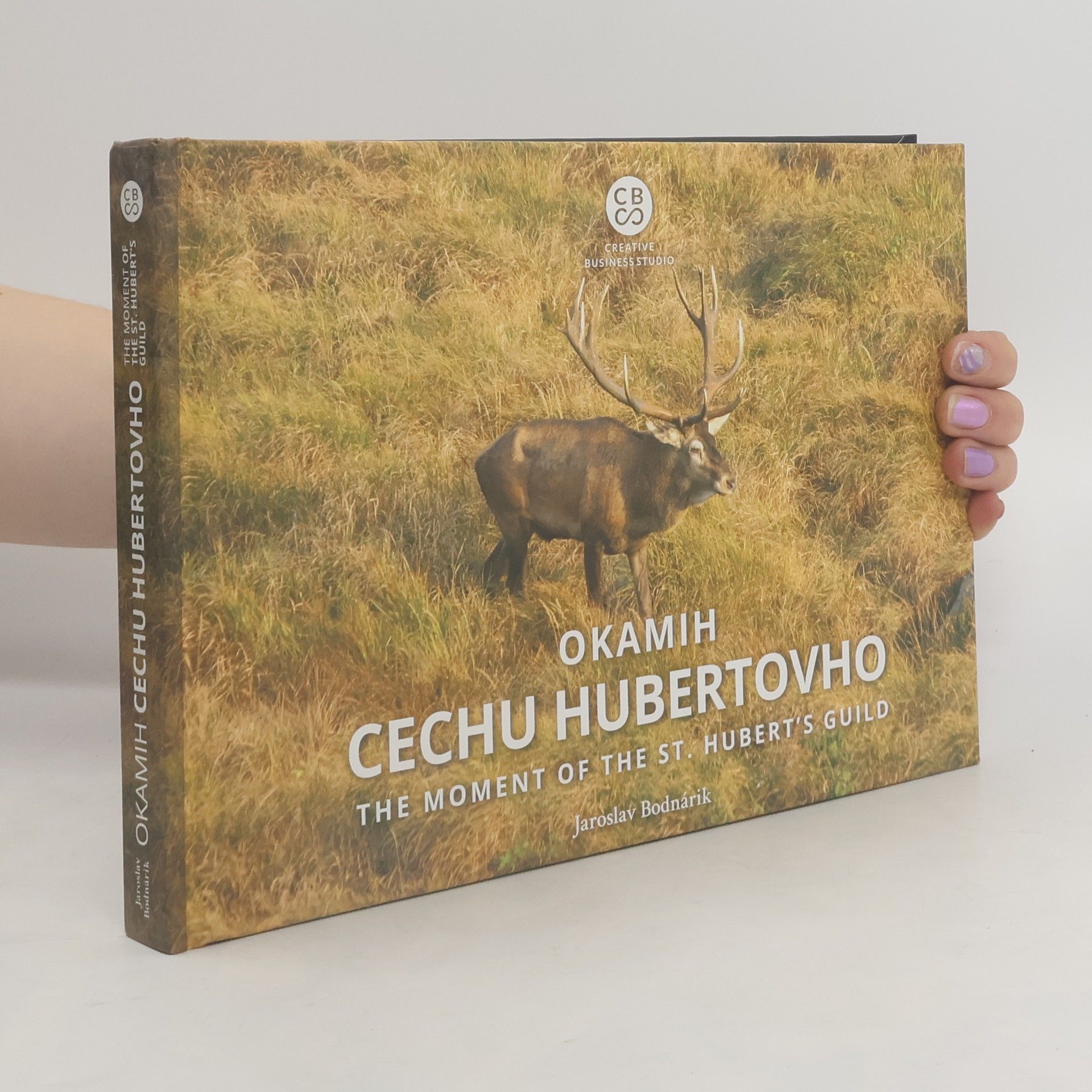 Jaroslav Bodnárik Okamih cechu Hubertovho