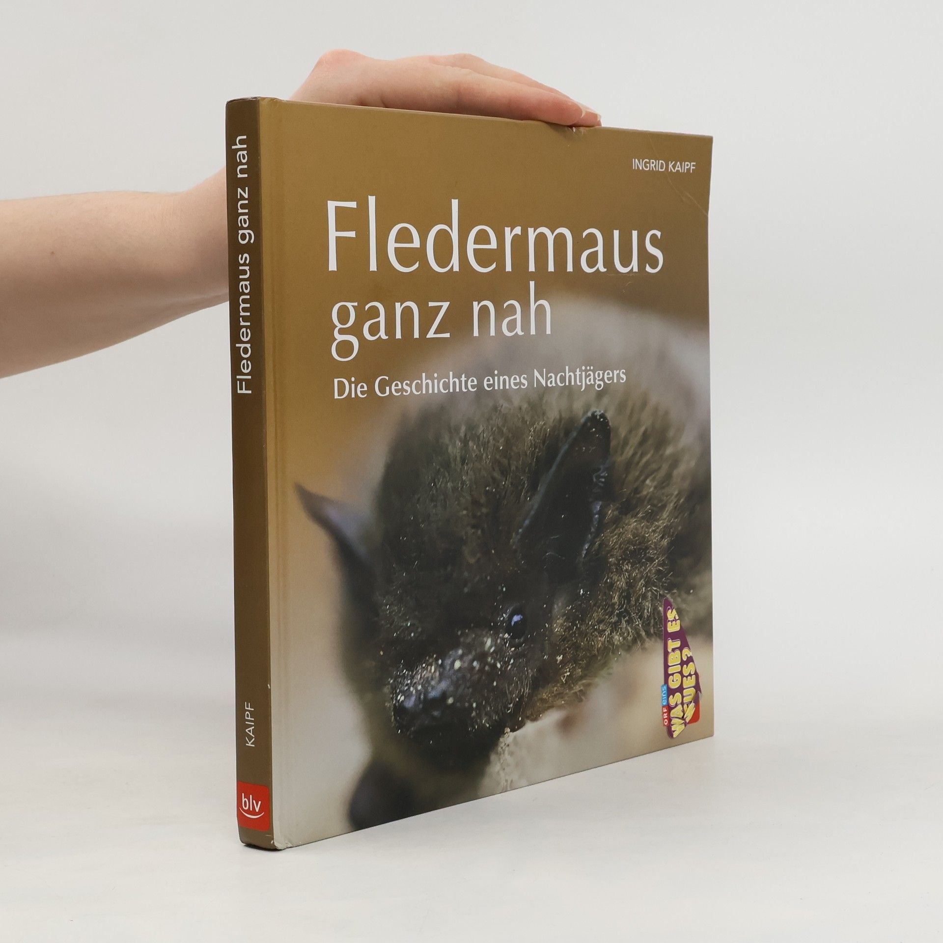 Ingrid Kaipf Fledermaus ganz nah
