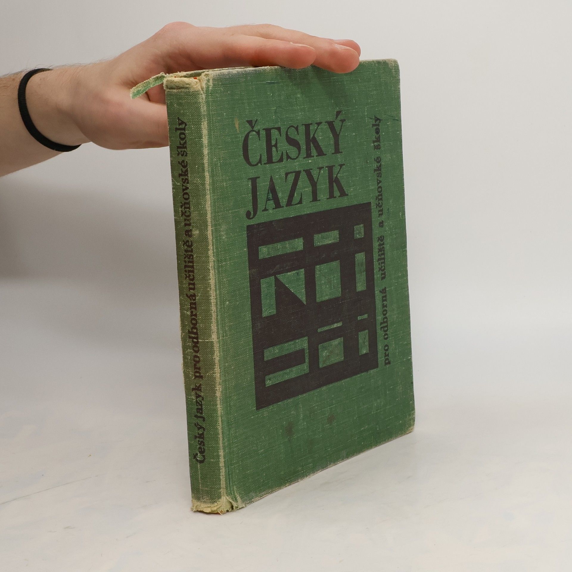 Collectif d'auteurs Český jazyk pro odborná učiliště a učňovské školy