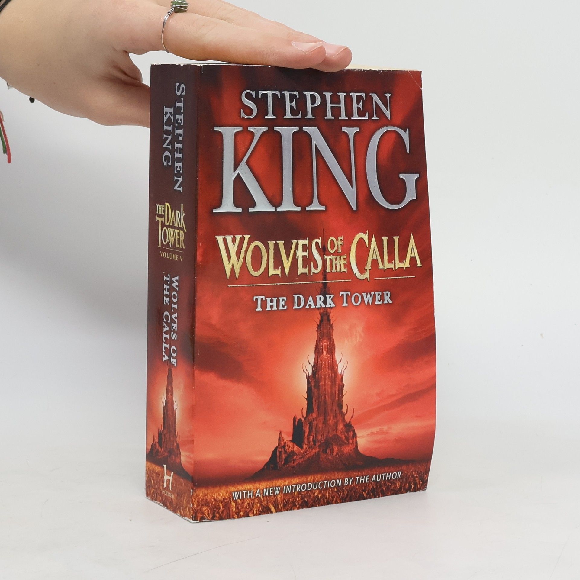 Stephen King Wolves of the Calla