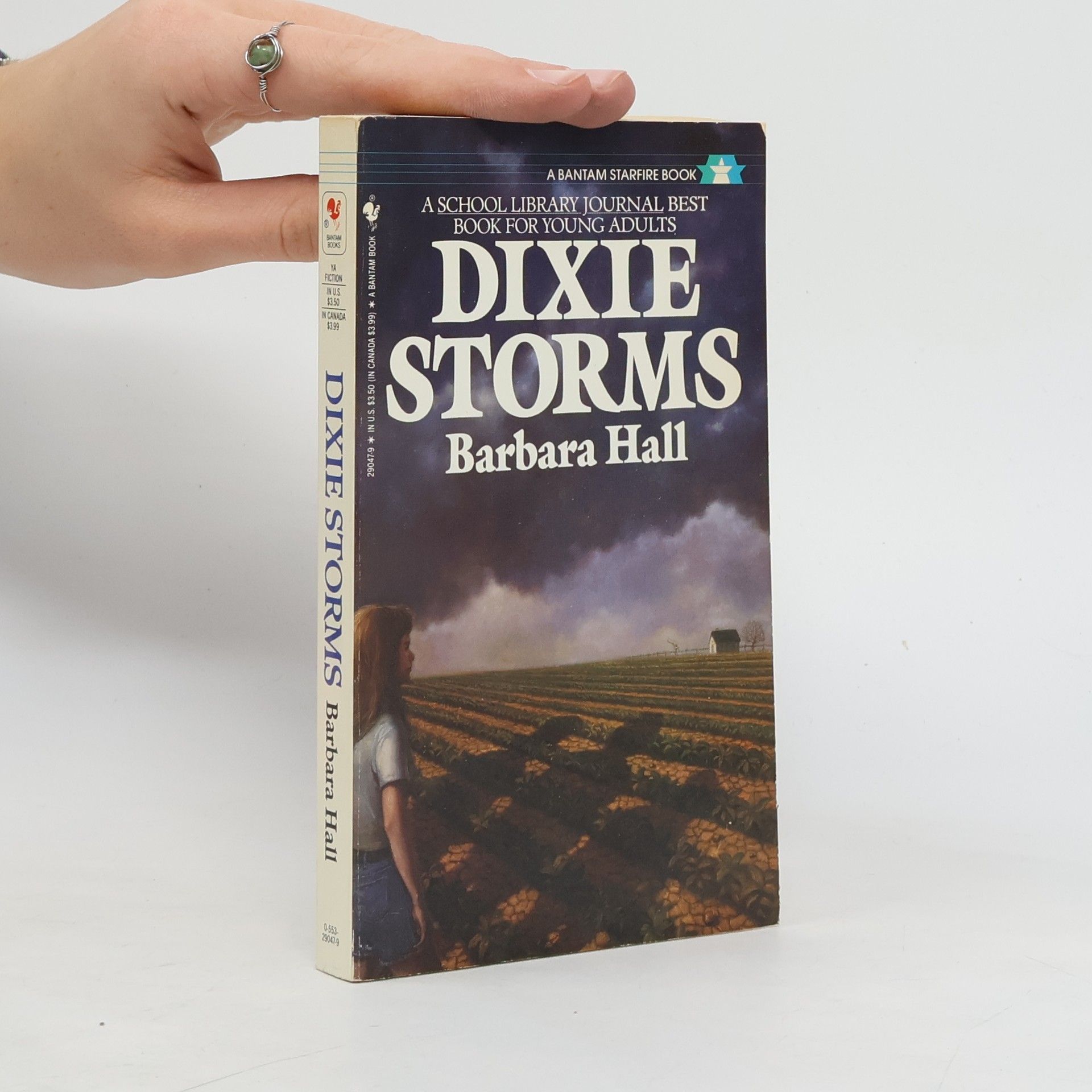 Barbara Hall Dixie Storms