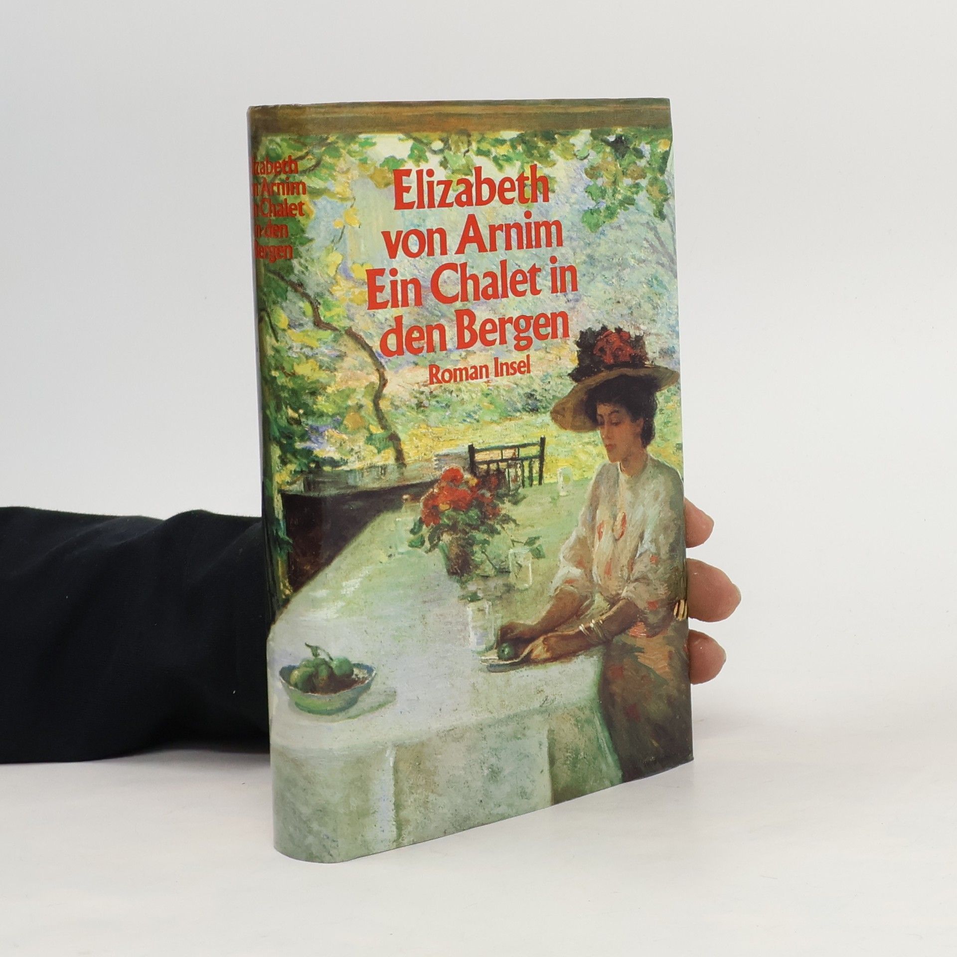 Elizabeth von Arnim Ein Chalet in den Bergen