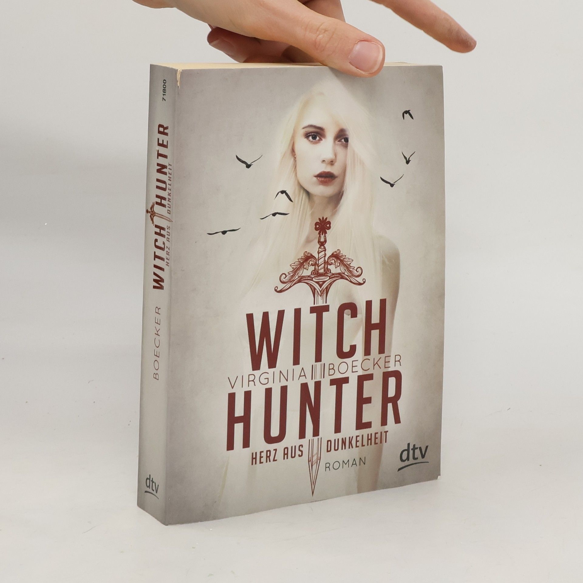 Virginia Boecker Witch Hunter - Herz aus Dunkelheit