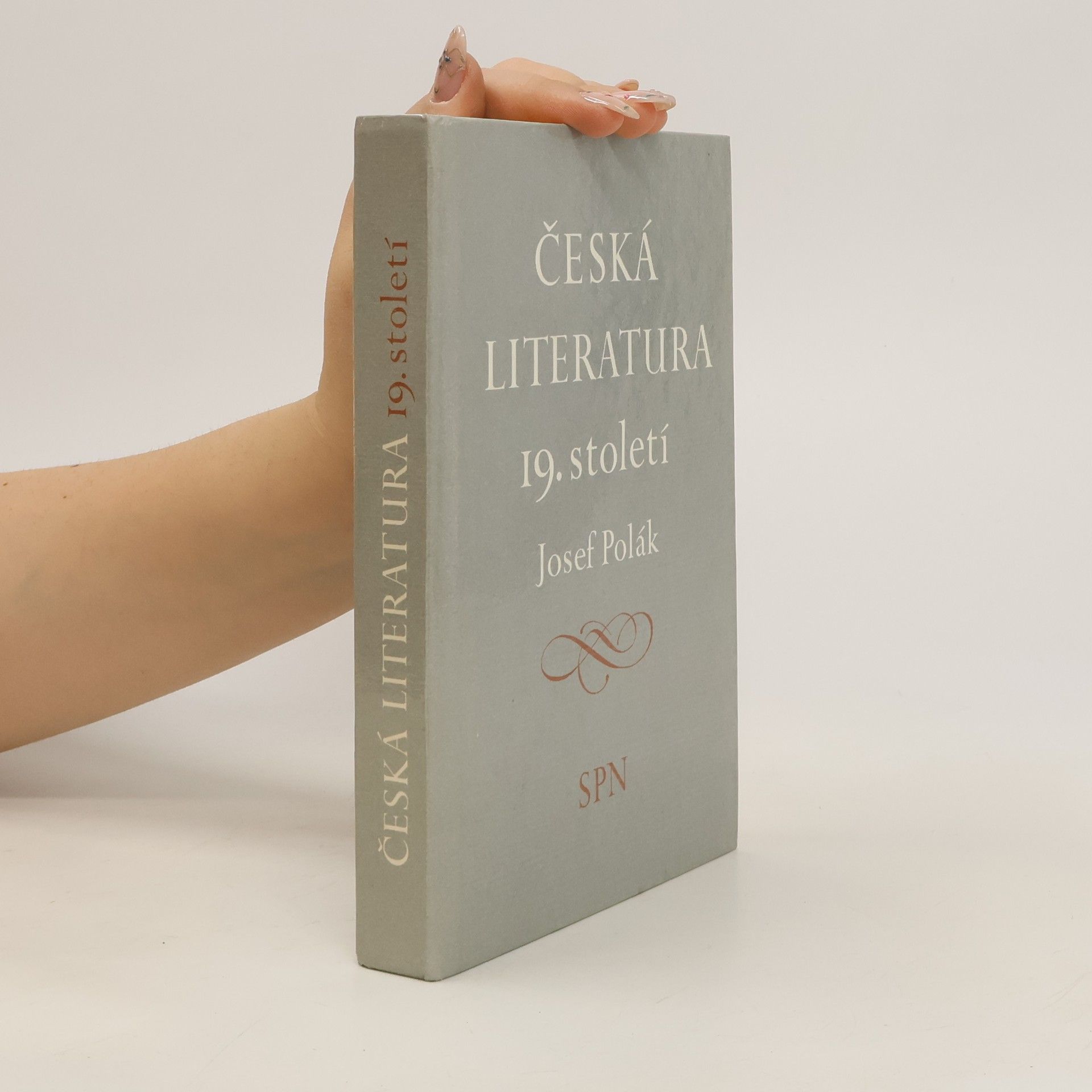 Josef Polák Česká literatura 19. století