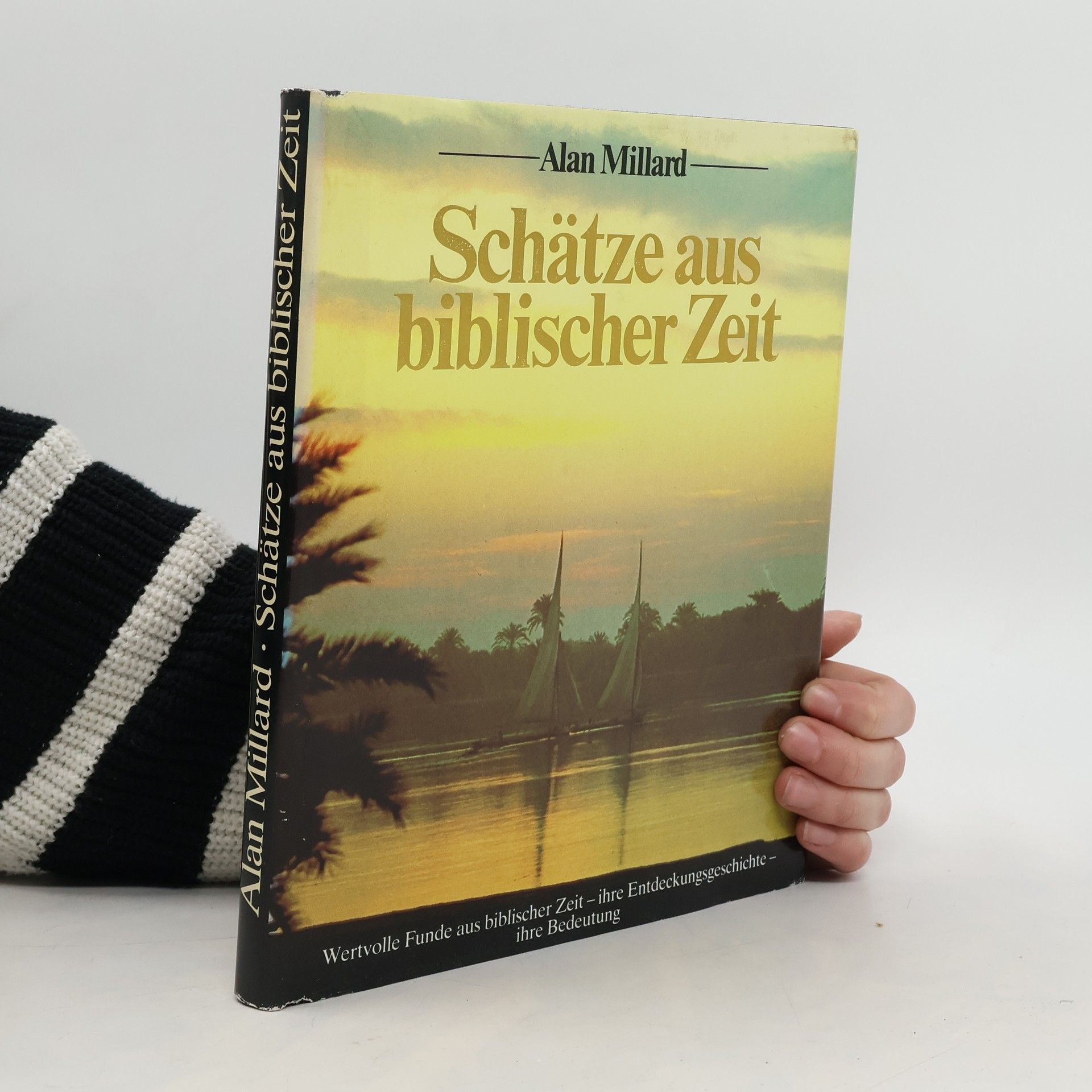 Alan Millard Schätze aus biblischer Zeit
