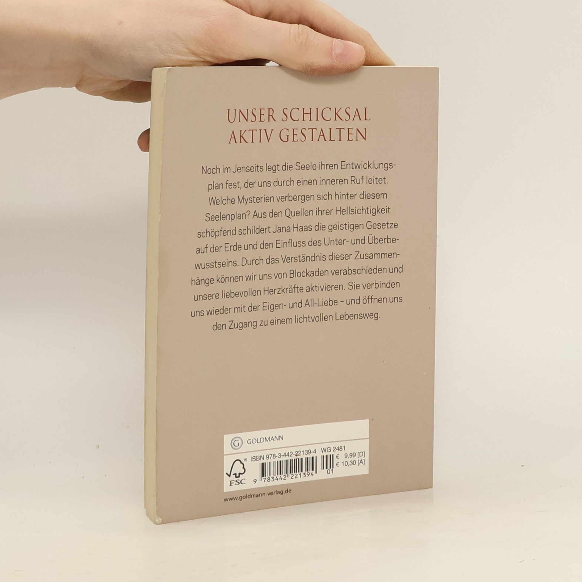 Jana Haas Der Seelenplan