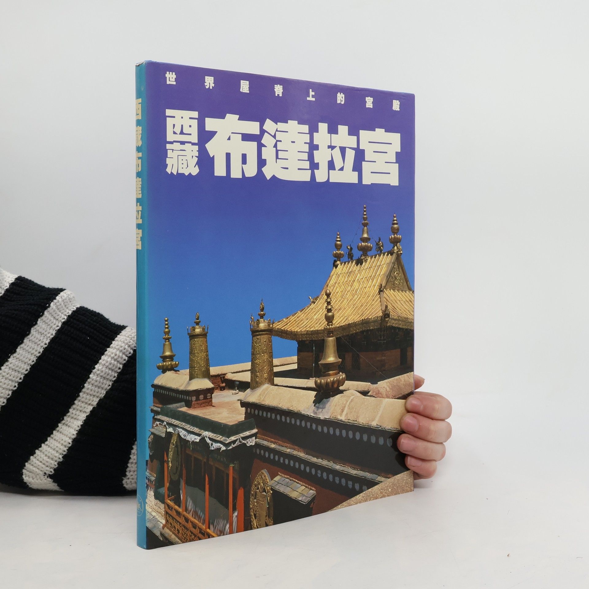 kolektiv 世界屋脊上的宫. 霖布達拉宮