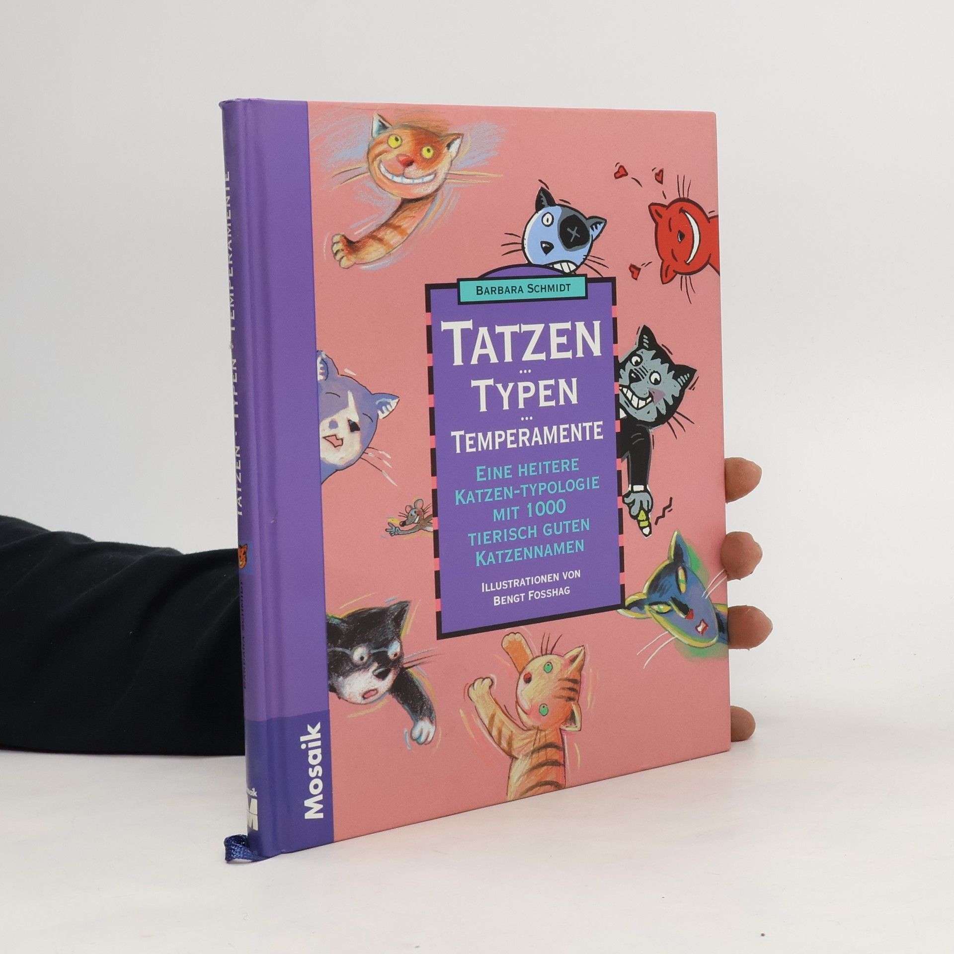 Barbara Schmidt-Rettig Tatzen, Typen, Temperamente : Eine heitere Katzen-Typologie mit 1000 tierisch guten Katzennamen