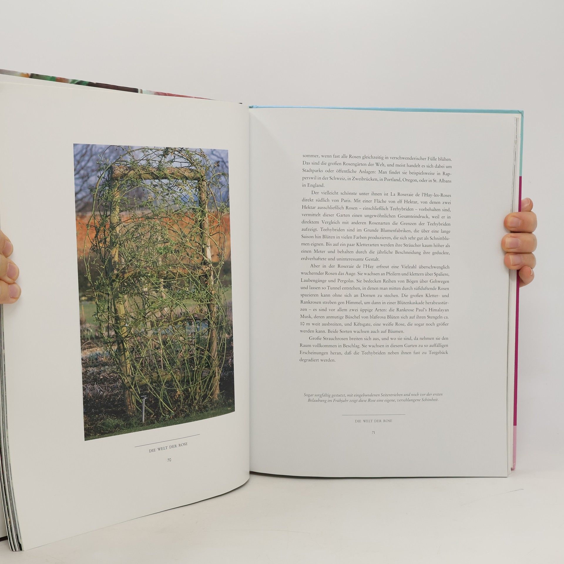Christopher P. Baker Die Welt der Rose
