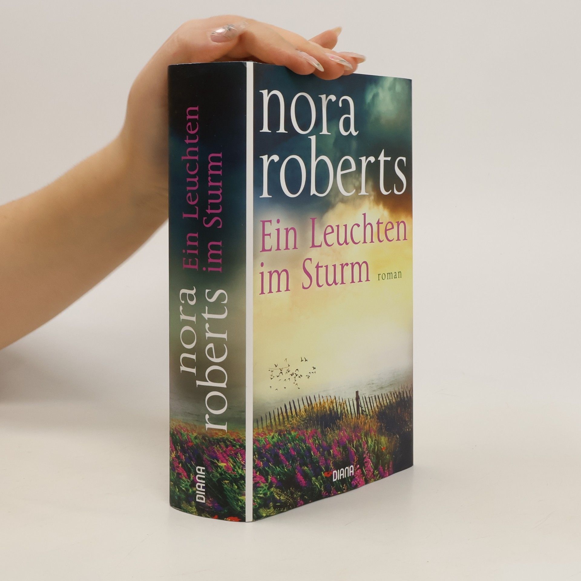 Nora Roberts Ein Leuchten im Sturm