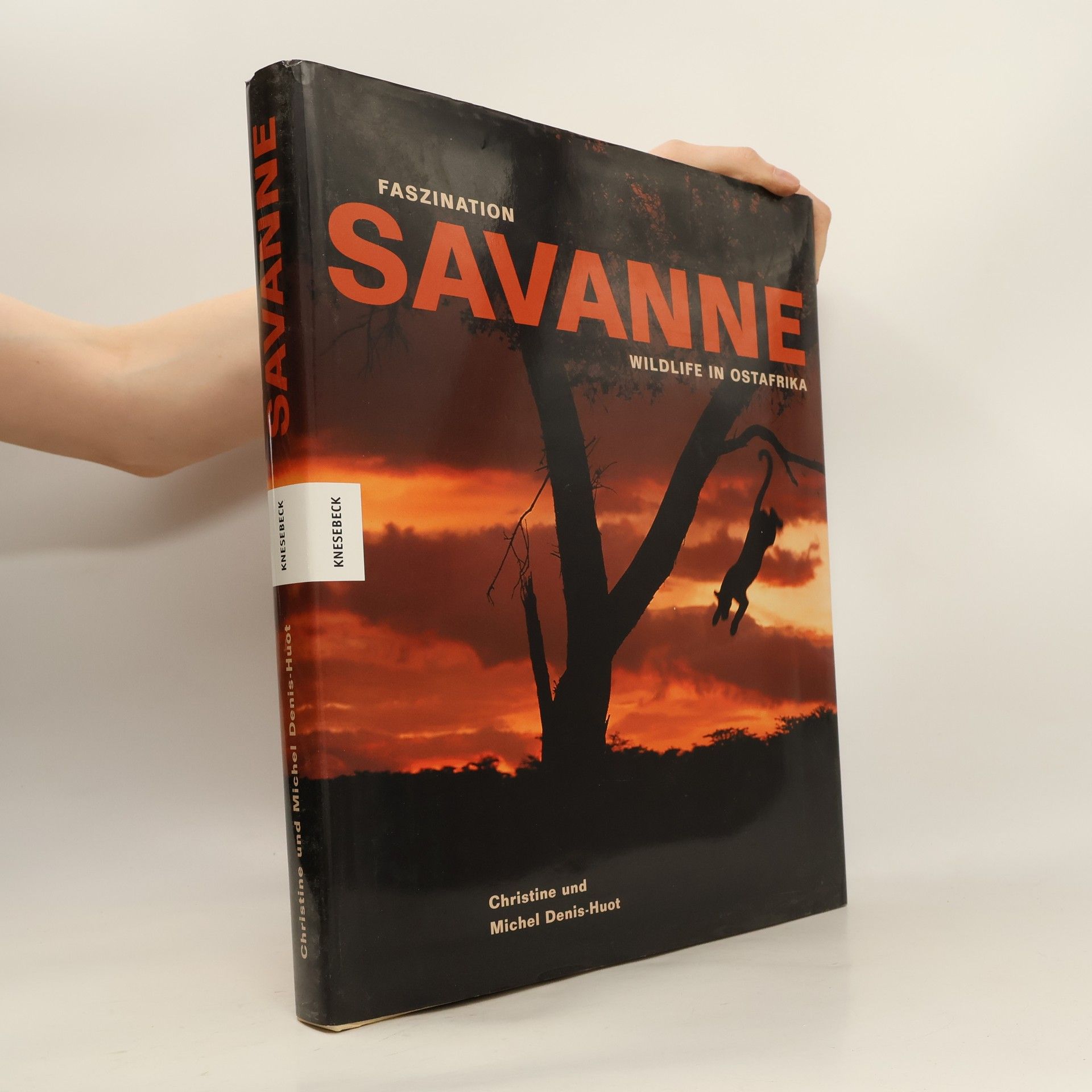 Christine Denis-Huot Faszination Savanne