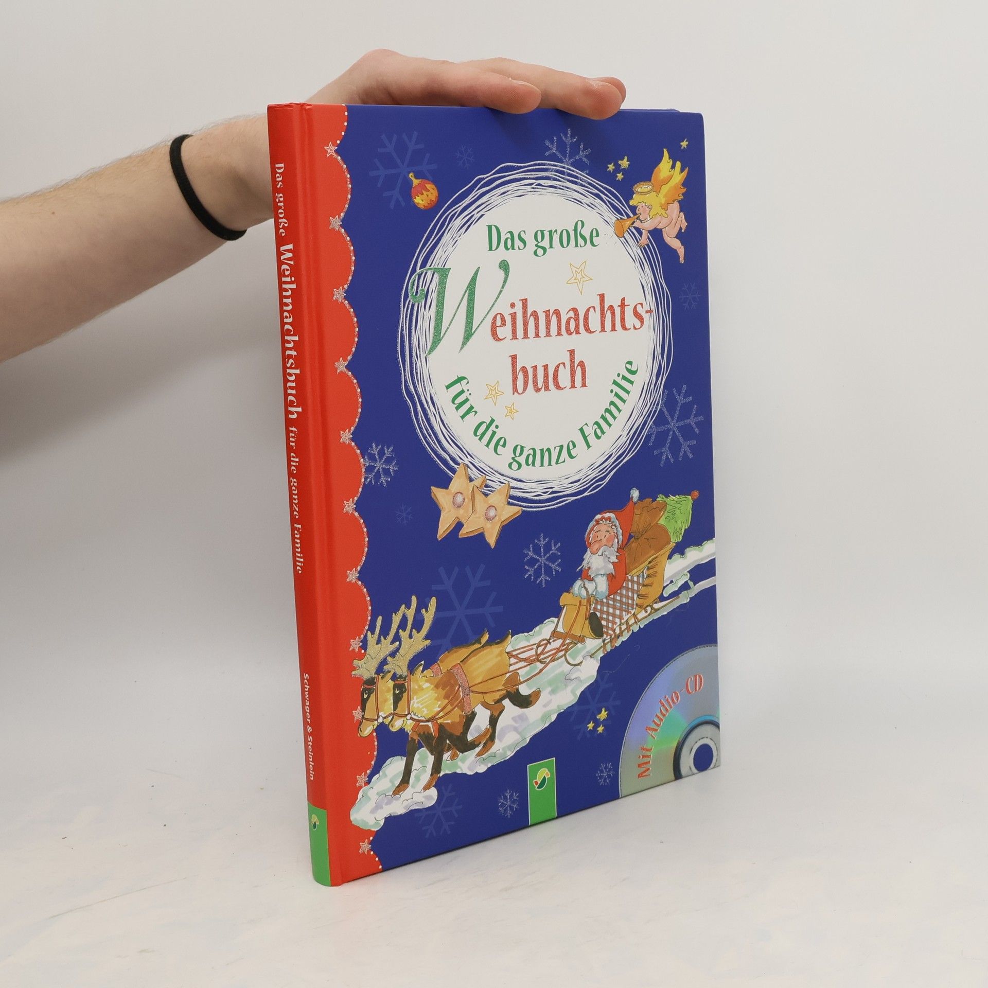 Ingrid Pabst Das große Weihnachtsbuch für die ganze Familie