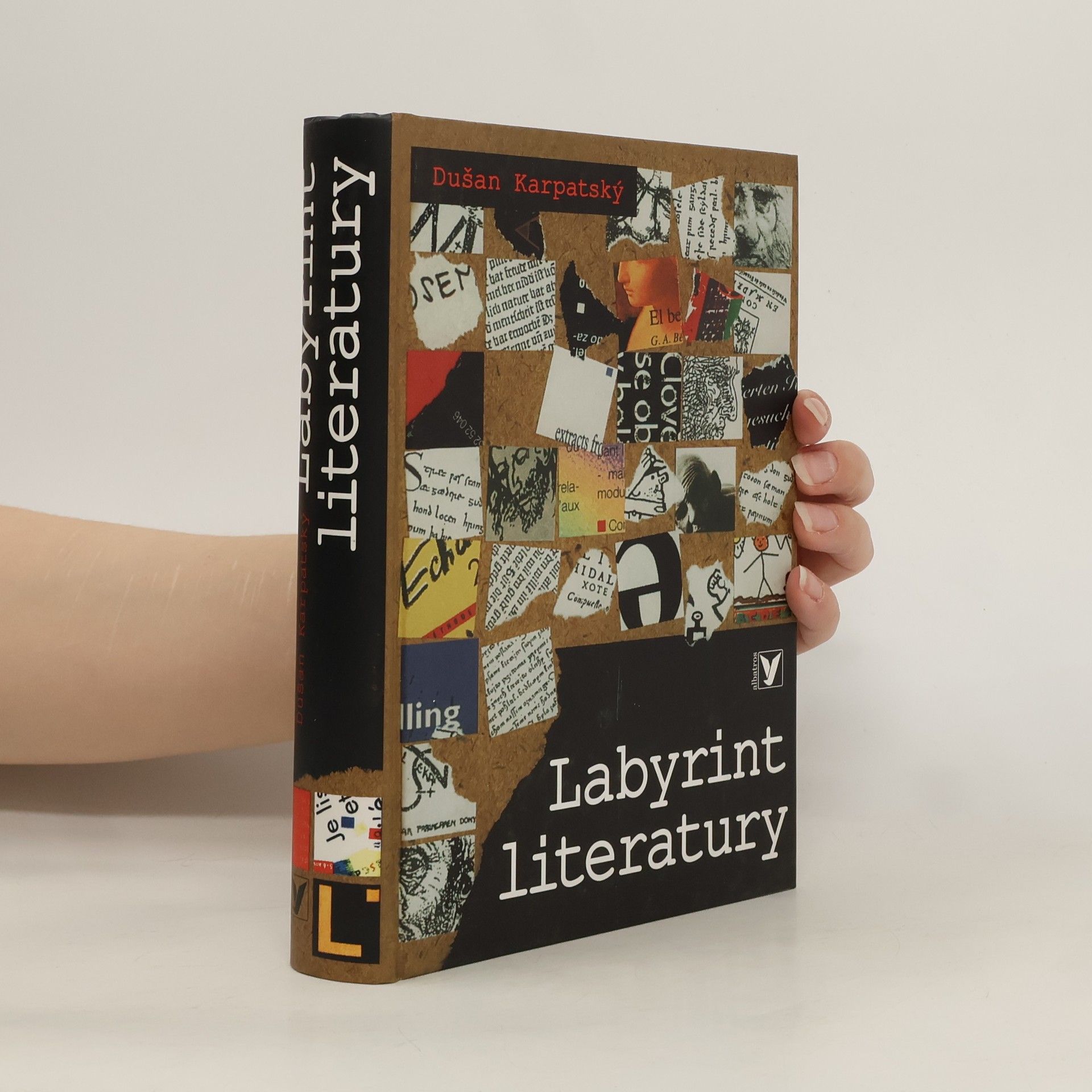 Dušan Karpatský Labyrint literatury