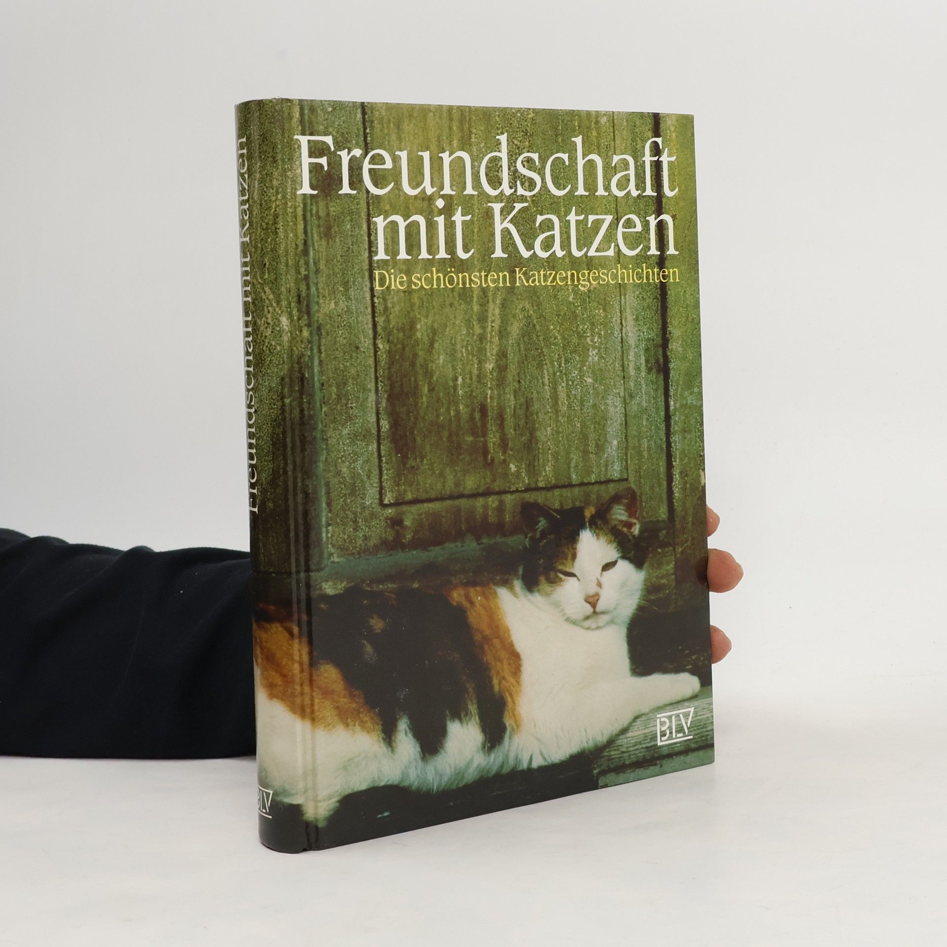 Siegfried Schmitz Freundschaft mit Katzen