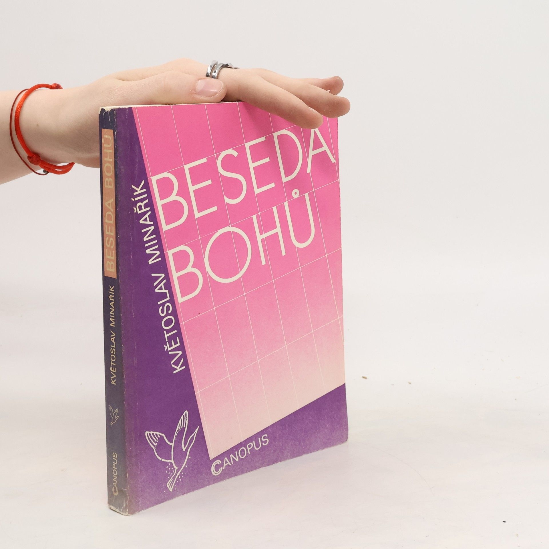 Květoslav Minařík Beseda bohů