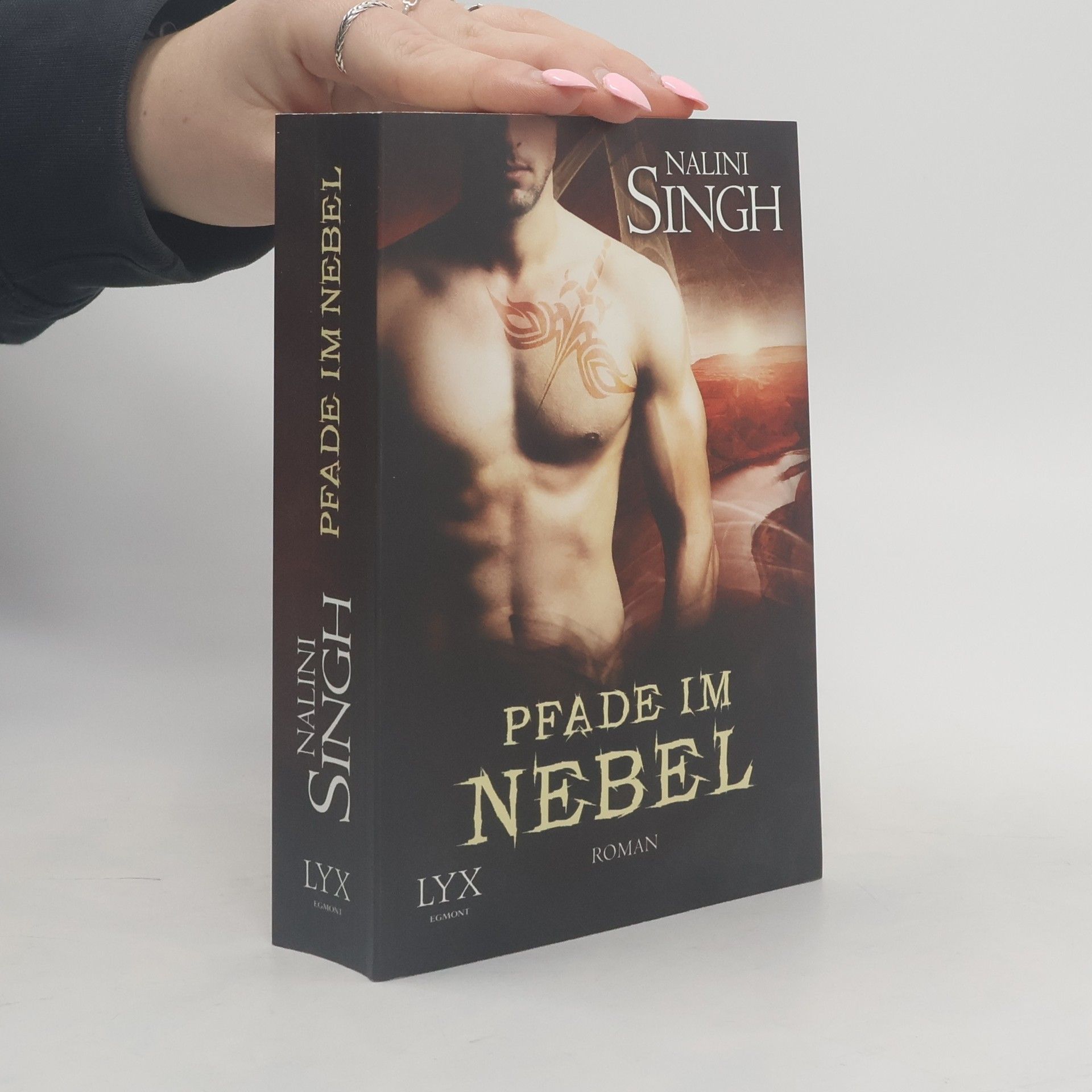 Nalini Singh Pfade im Nebel