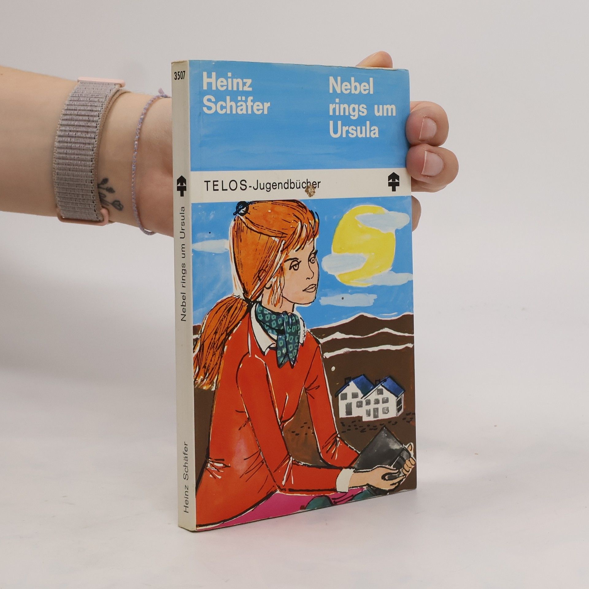 Heinz Schäfer Nebel rings um Ursula