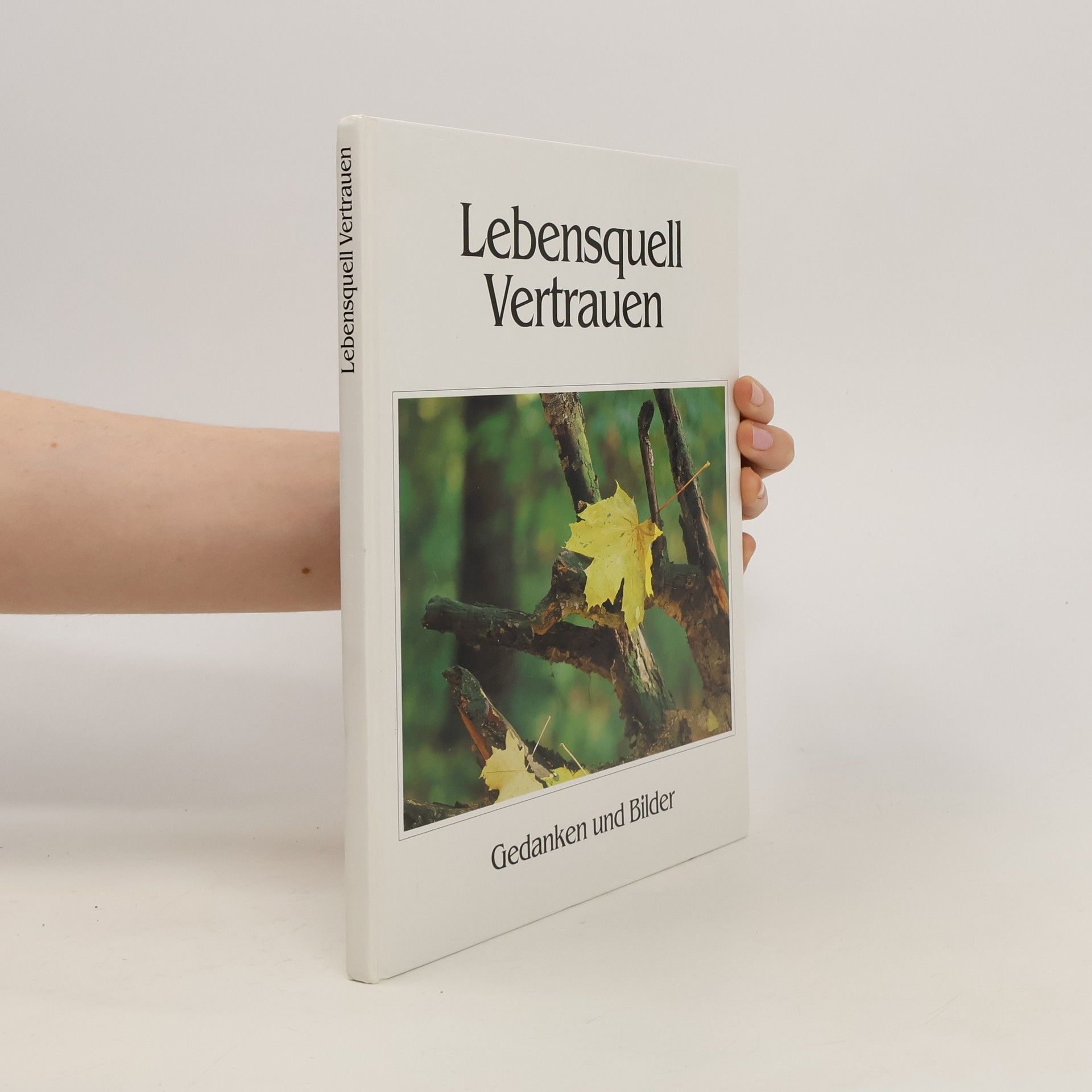Steffen Thost Lebensquell Vetrauen