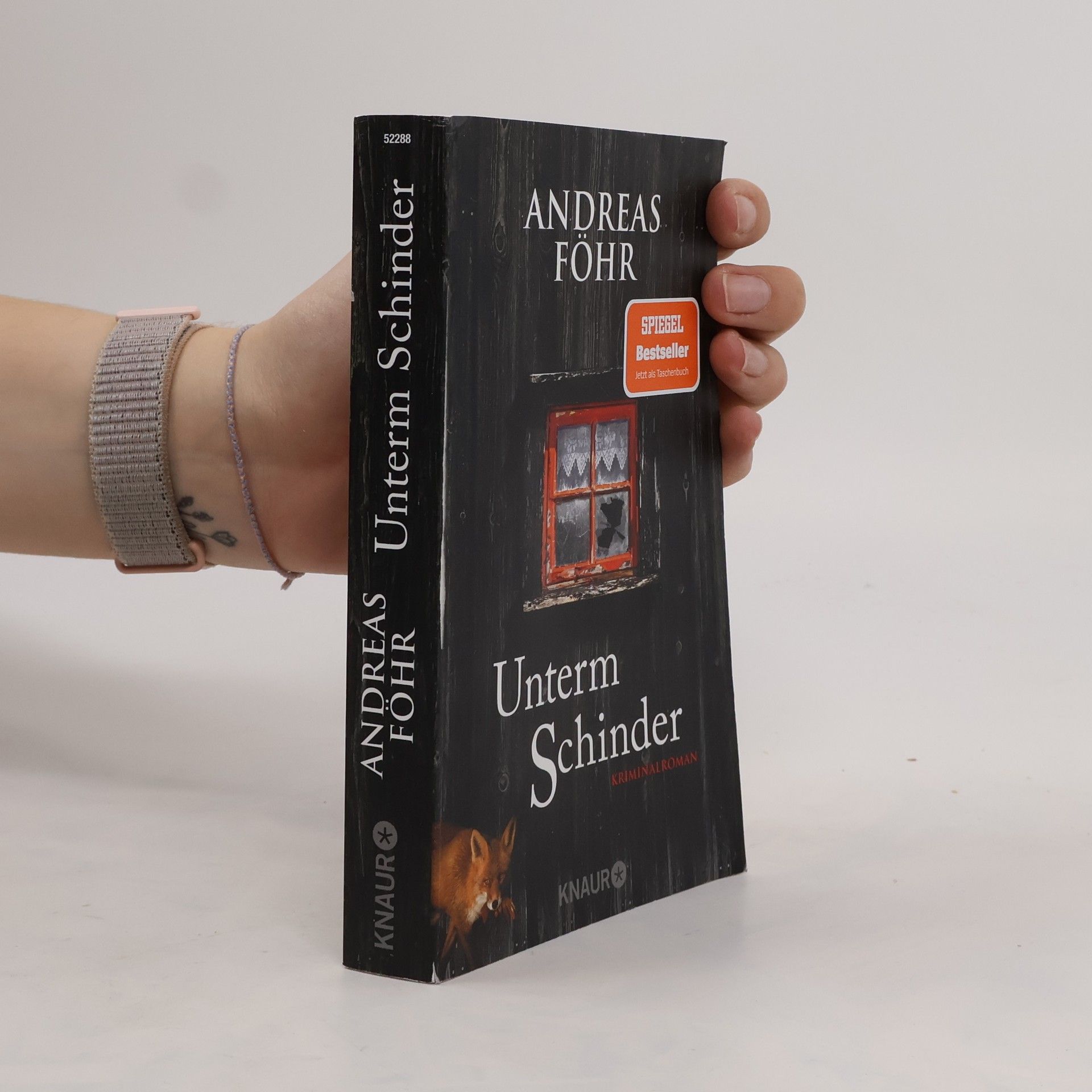 Andreas Föhr Unterm Schinder
