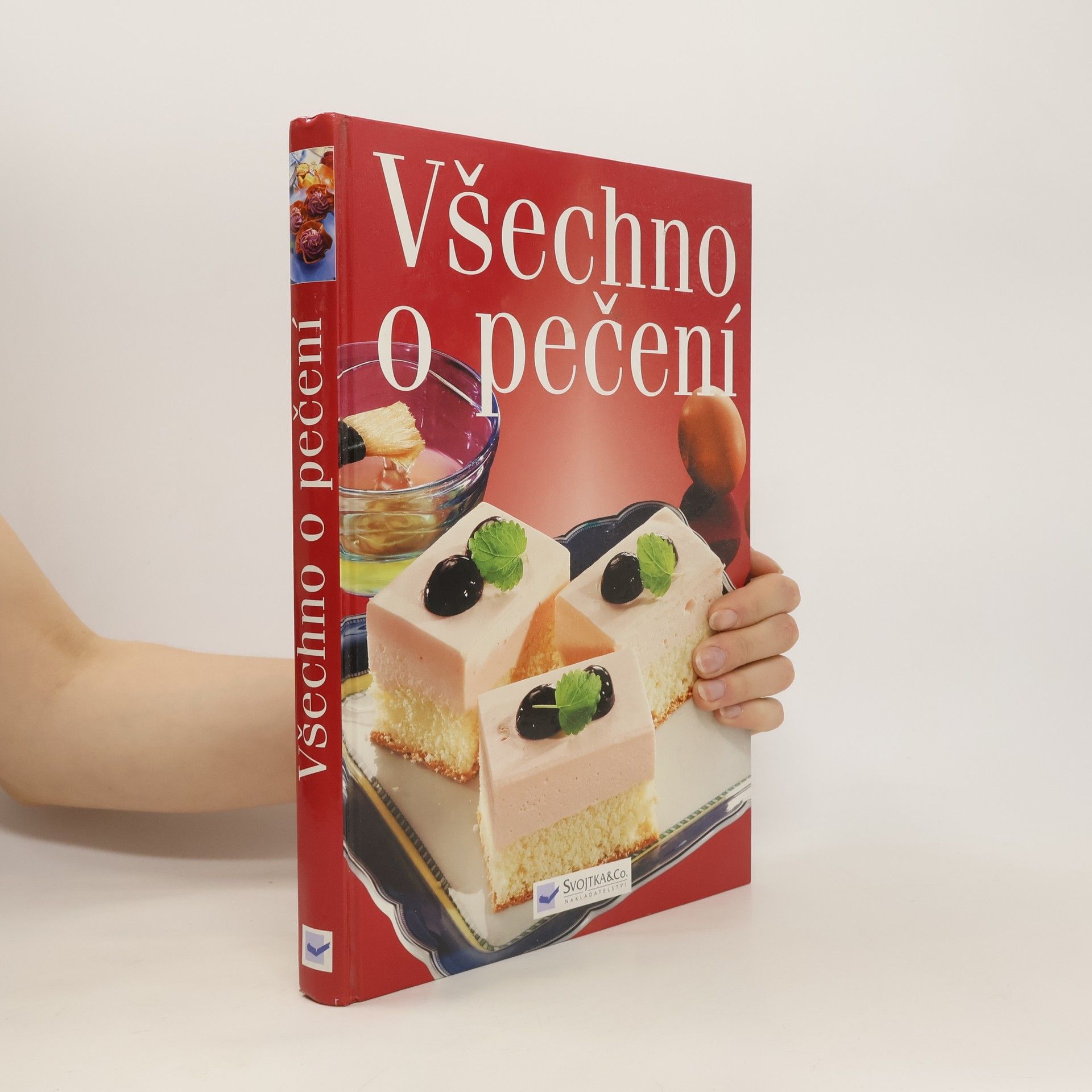 Autorenkollektiv Všechno o pečení